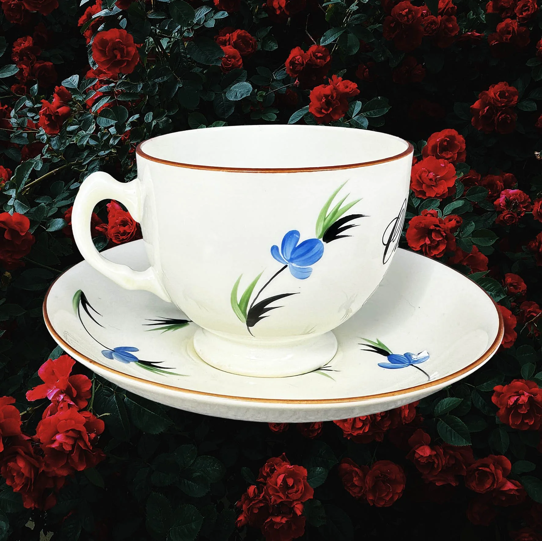 A vintage tea cup with a floral design and the words "classy bitch" in black writing