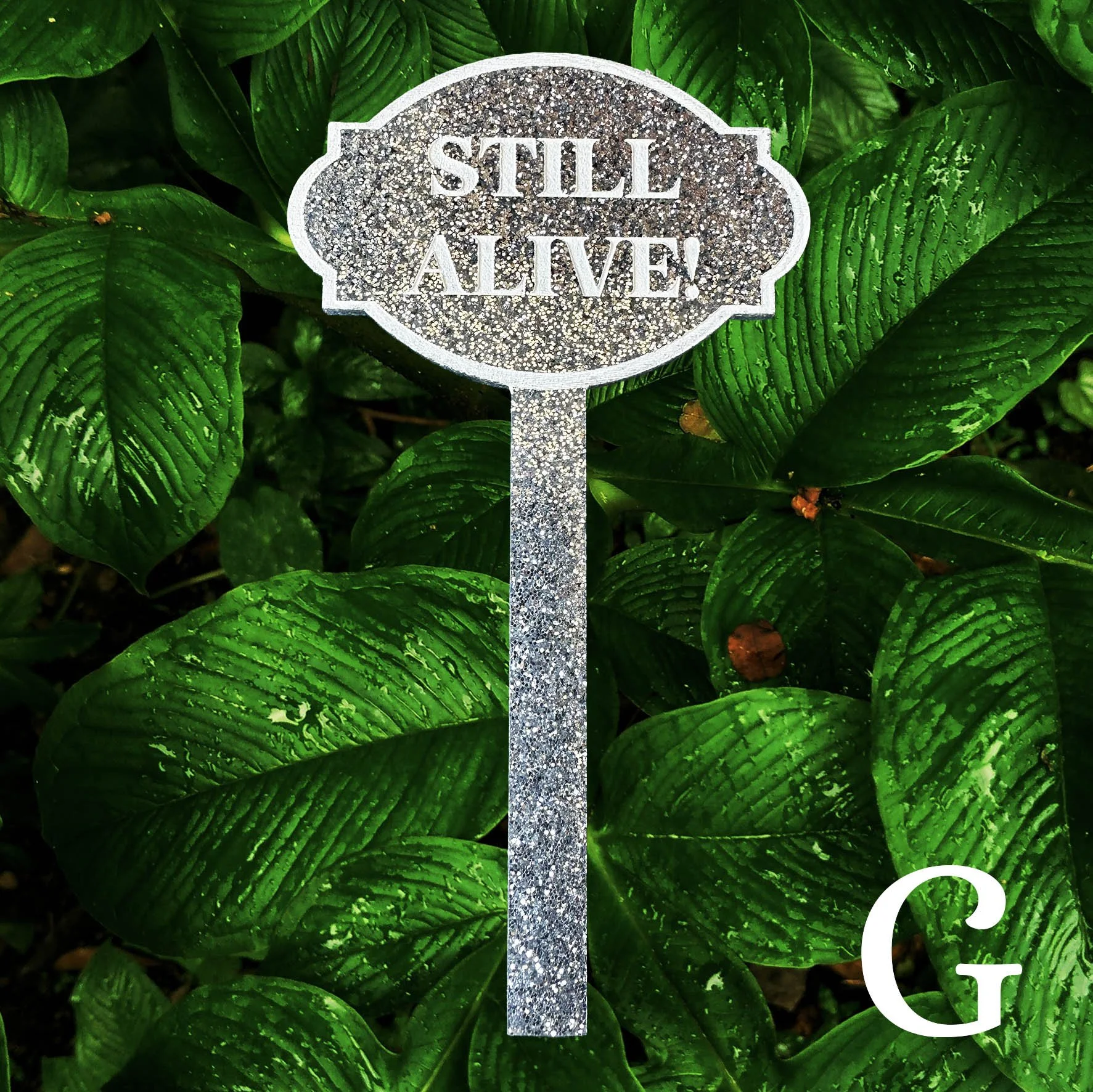 G, silver glitter acrylic planter stick label with the words “still alive” in white lettering