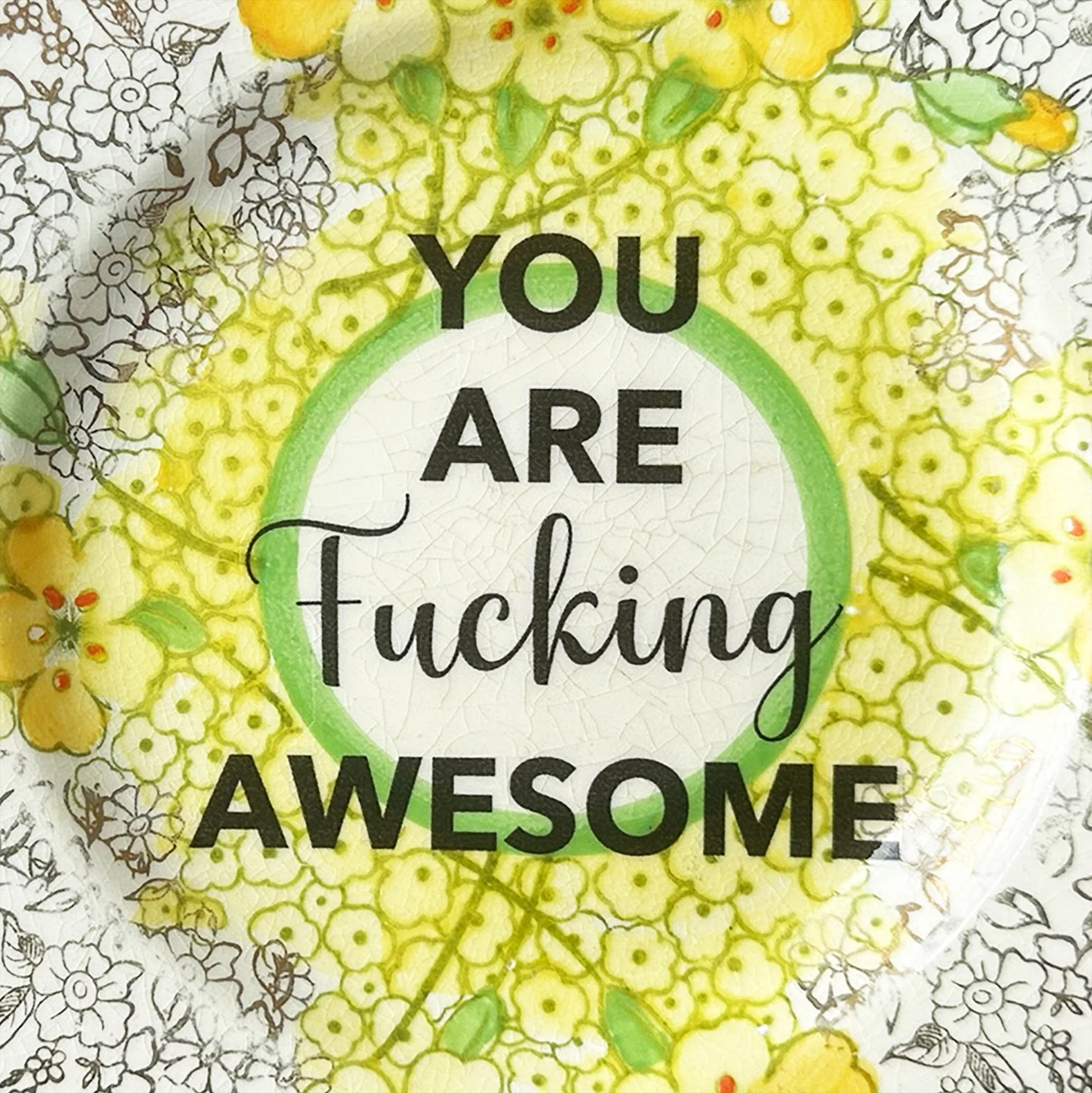 Plate_you_are_fucking_awesomeB2.jpg