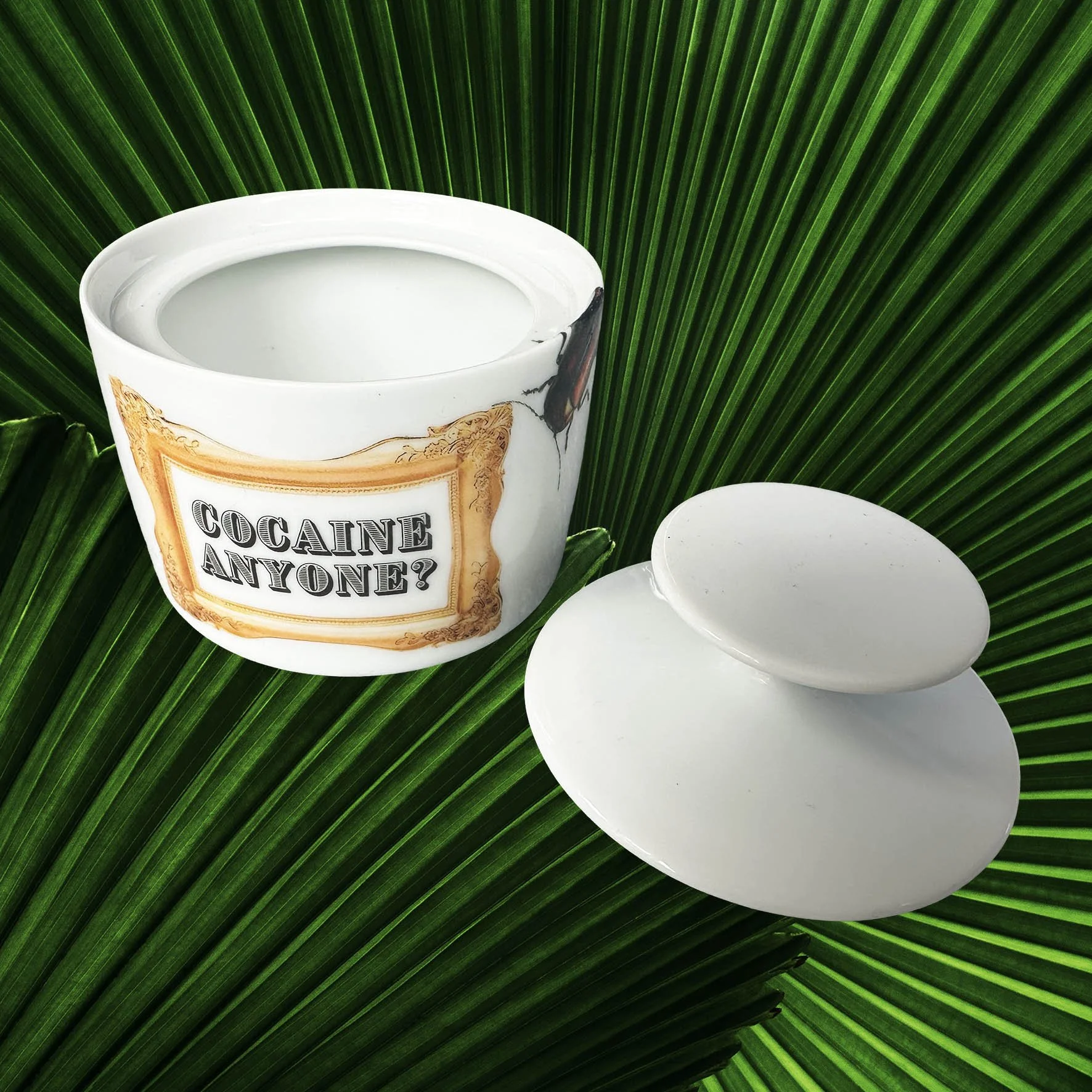 A vintage Thomas Germany sugar bowl with the words “cocaine anyone?” Inside a gold frame