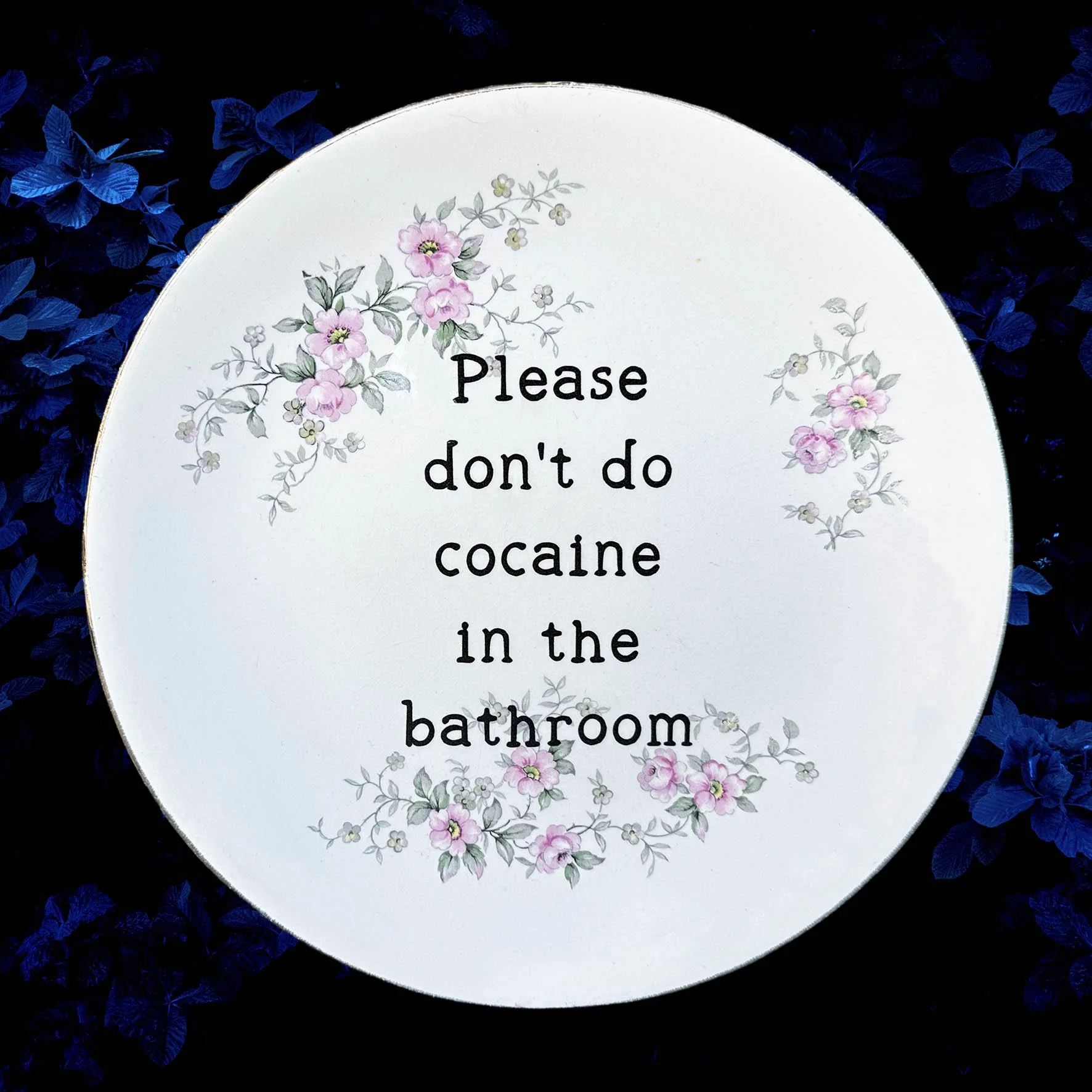 Please Don’t Do Cocaine In The Bathroom