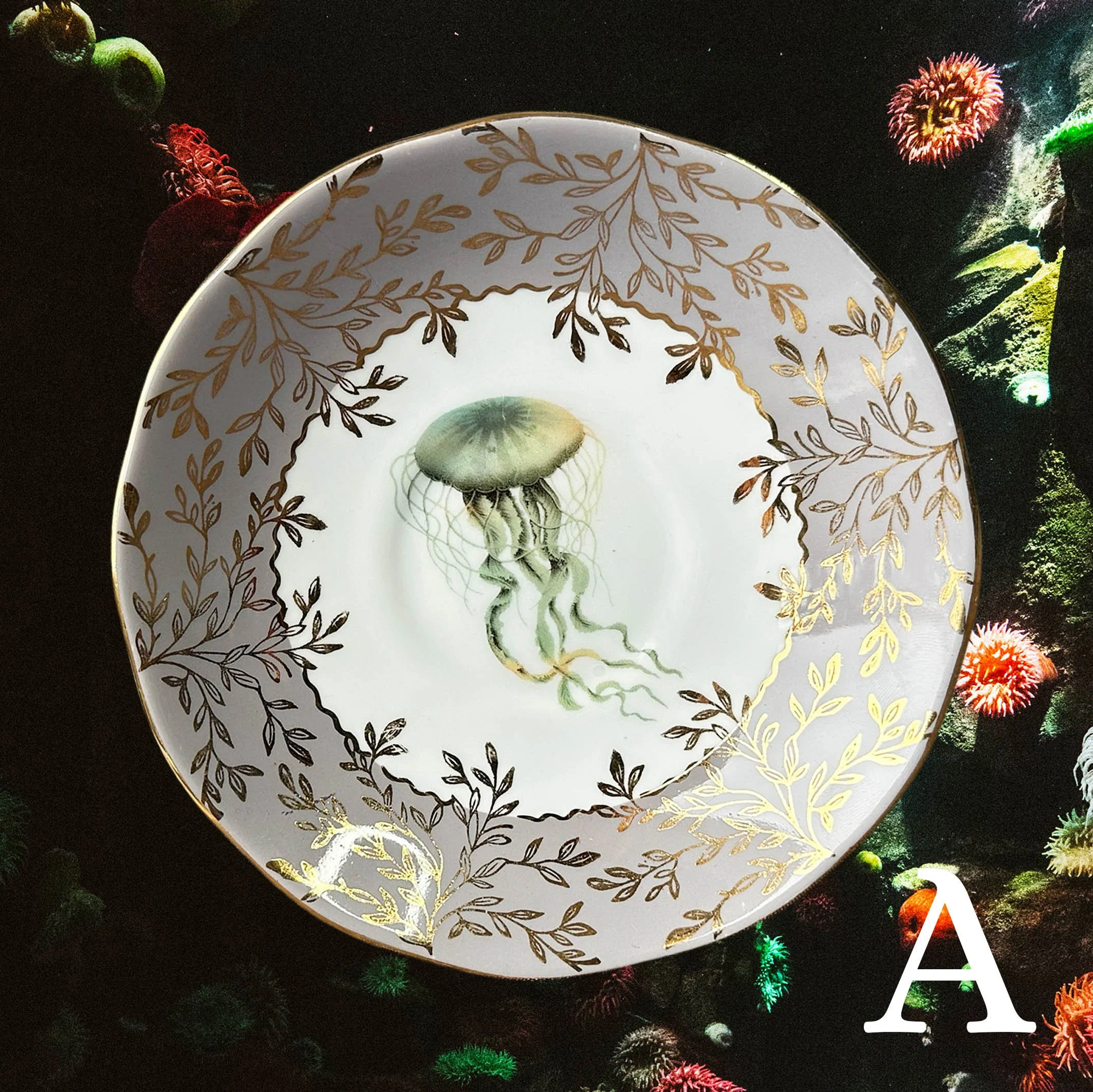 Picture_saucer_under_the_seaG2.jpg