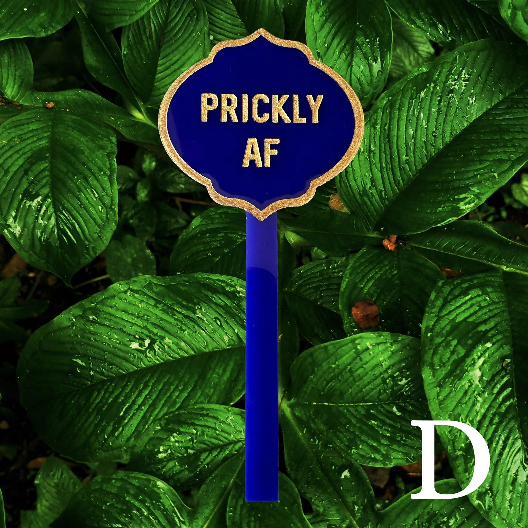 D, blue acrylic planter stick label with the words “prickly AF” in gold lettering