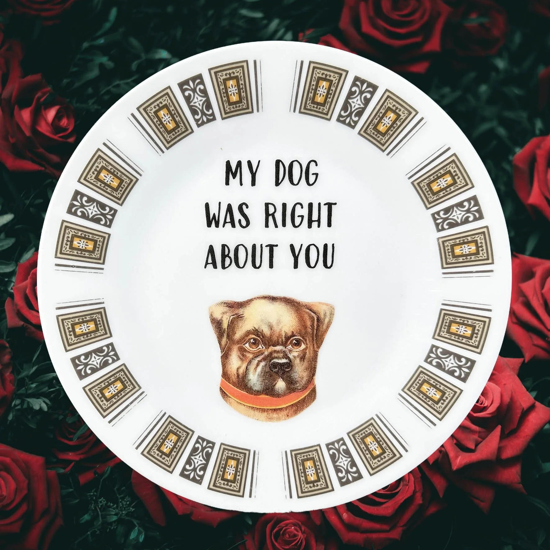 My Dog Was Right About You