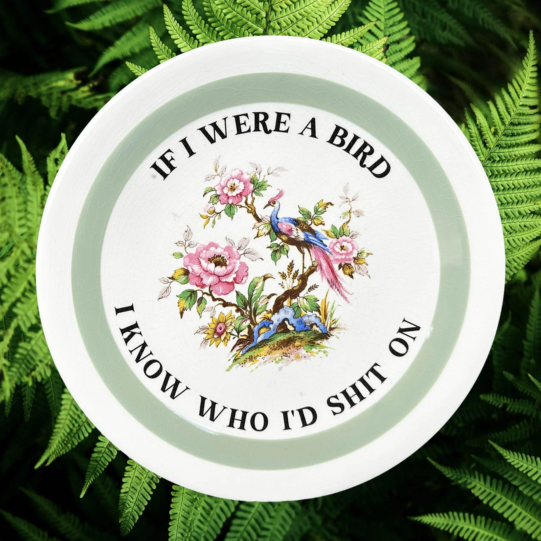 If I were I bird I know who I’d shit on, funny rude and sassy upcycled vintage plates, decorative plate featuring a bird design and black writing