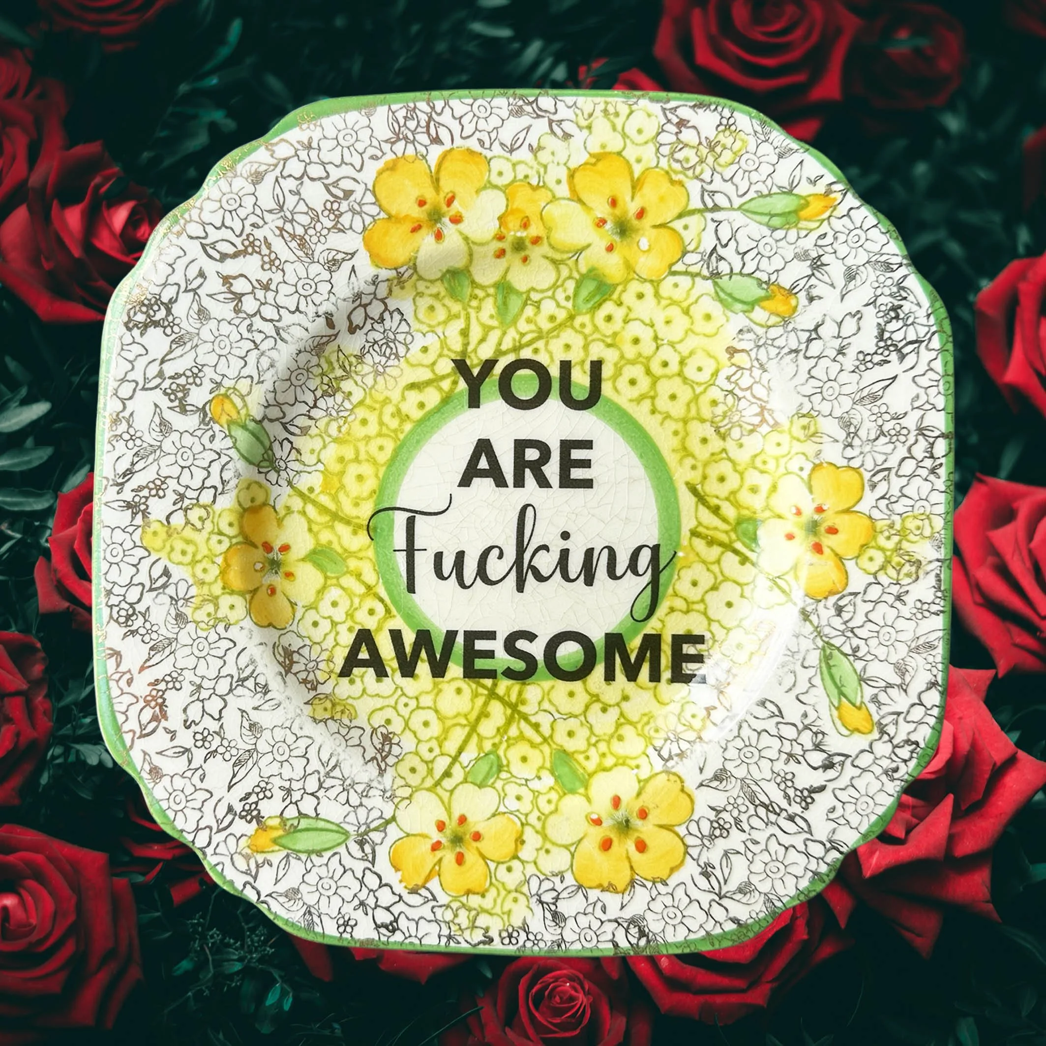 Plate_you_are_fucking_awesomeB1.jpg