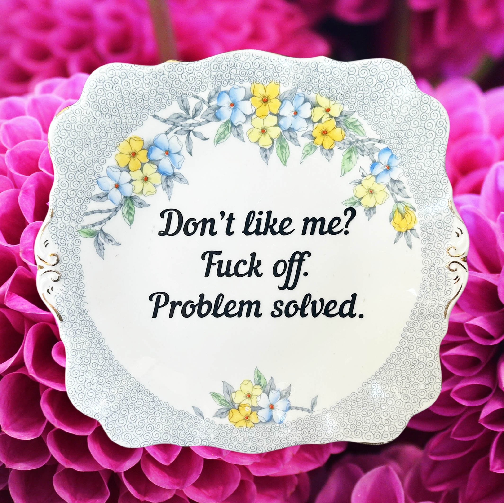 Don’t like me? Fuck off. Problem solved, funny and sassy upcycled vintage decorative wall plate, blue floral design with black writing