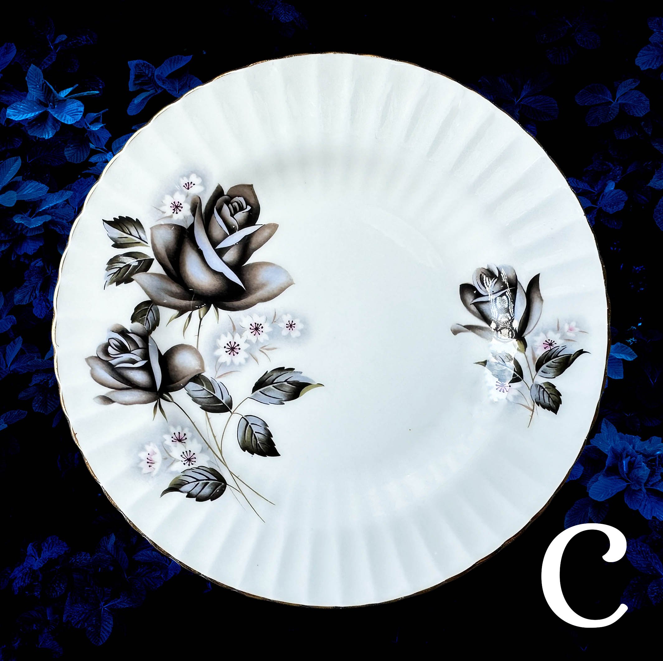 Create_a_plate_small_2025C4.jpg
