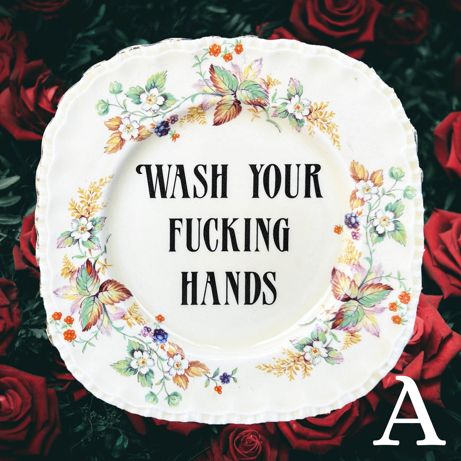 Plate_wash_your_fucking_handsQ2.jpg