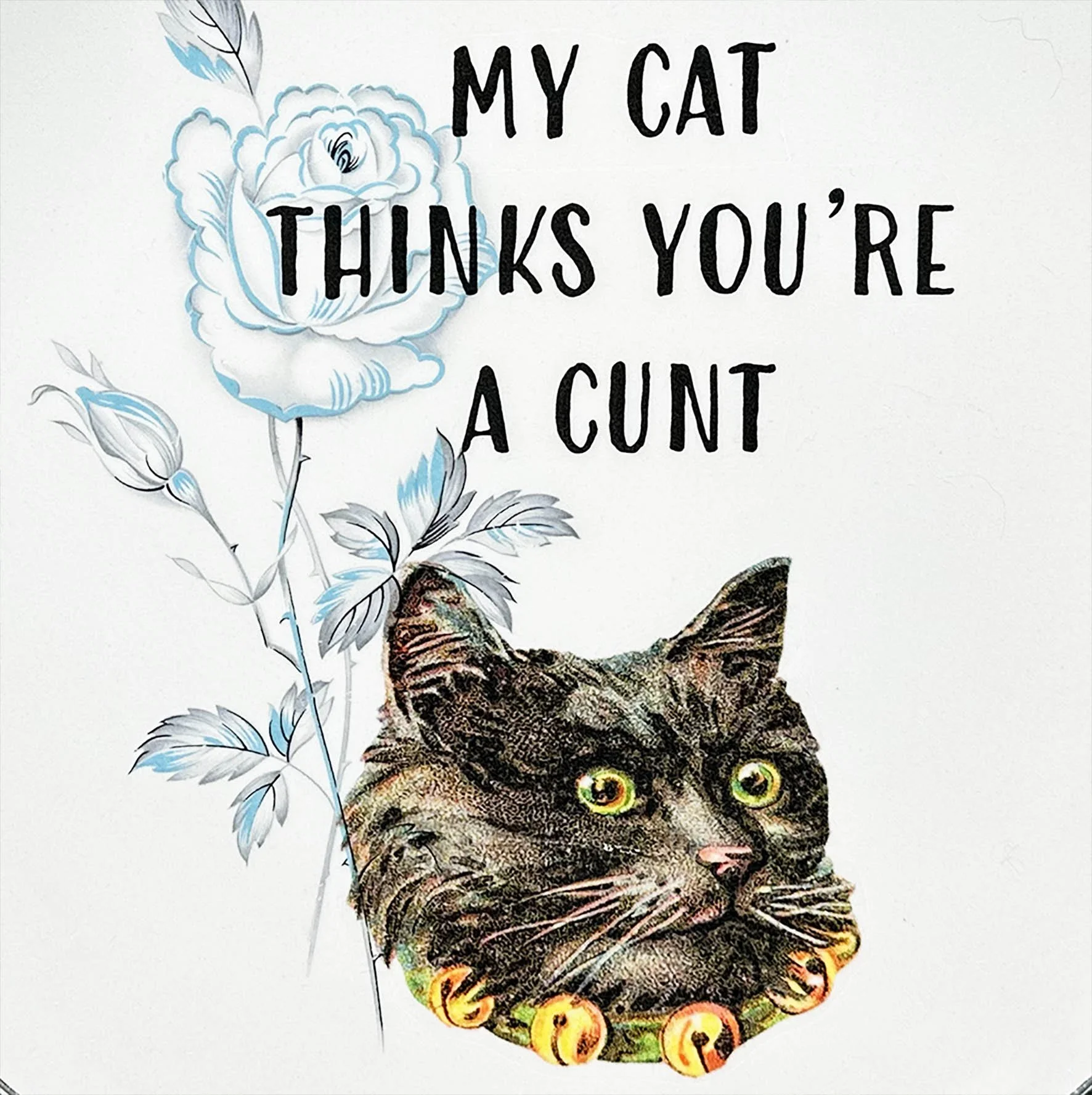 A vintage plate with a picture of a black cat and the quote “my cat thinks you’re a cunt”