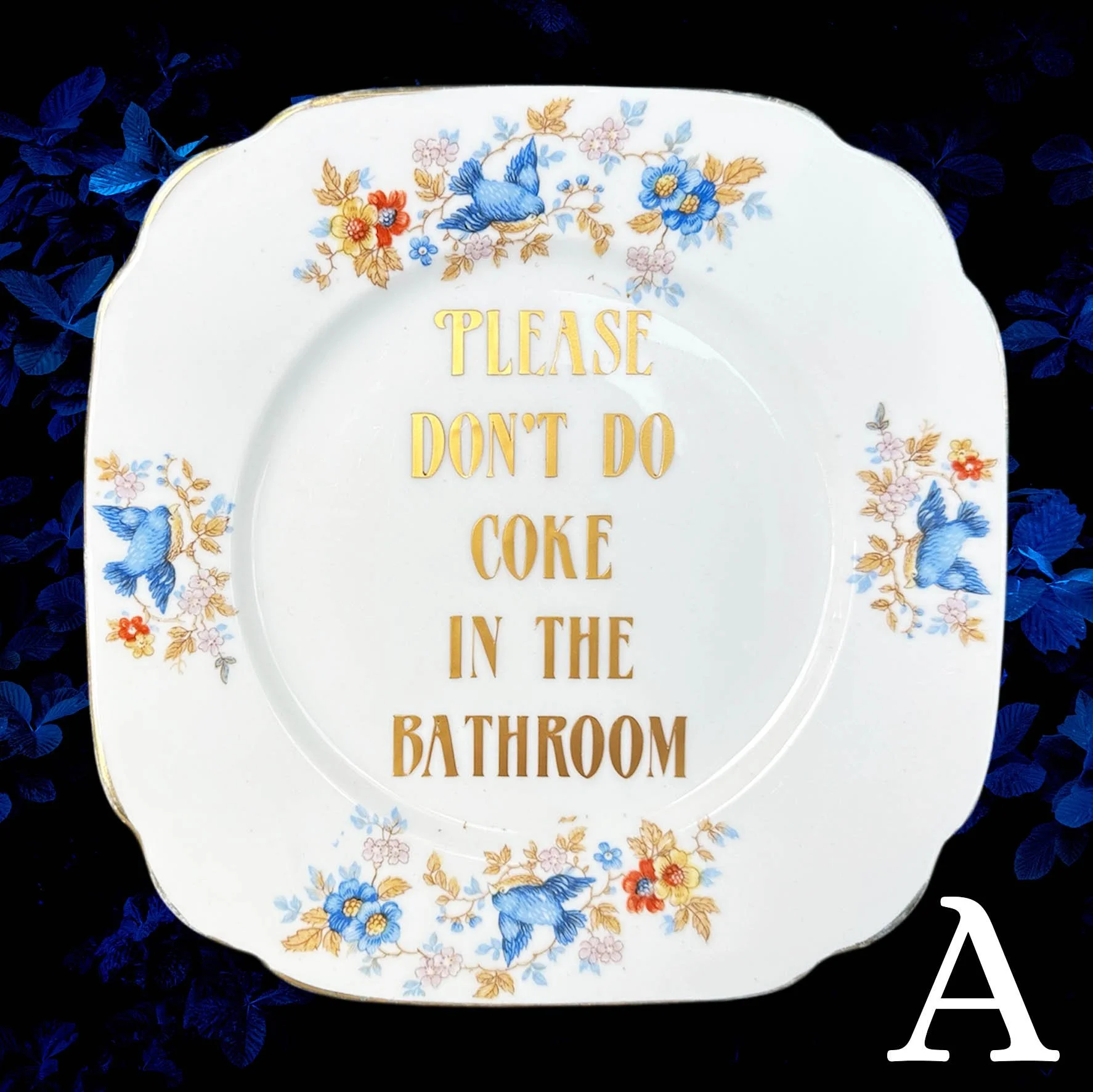 Please Don’t Do Coke In The Bathroom