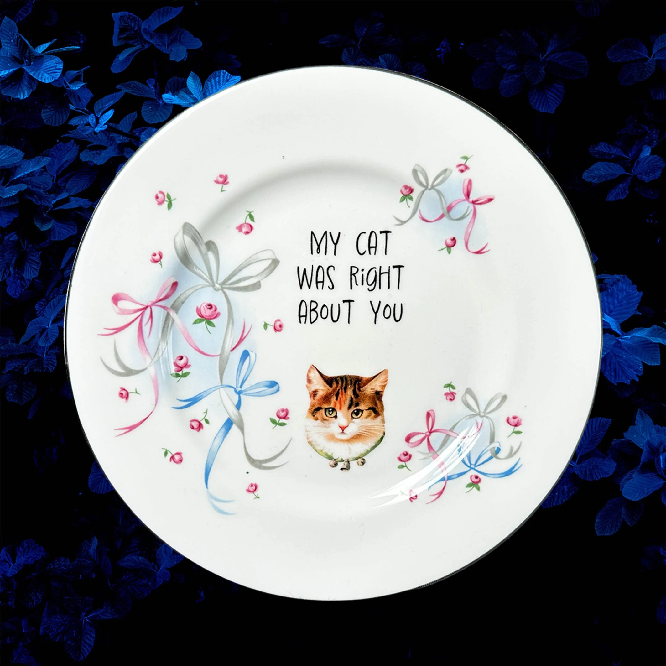 My Cat Was Right About You