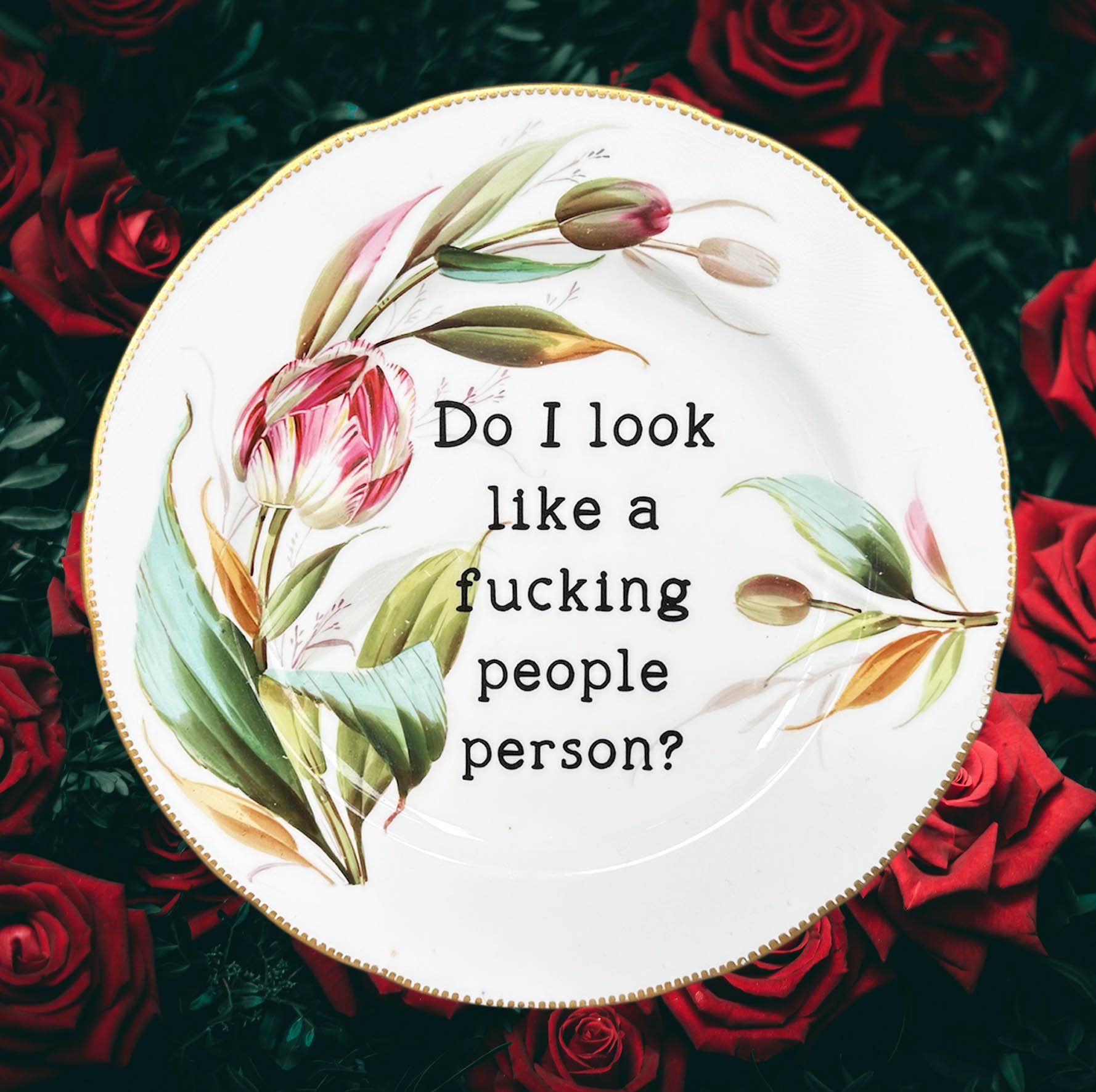 Do I Look Like A Fucking People Person? - Plate