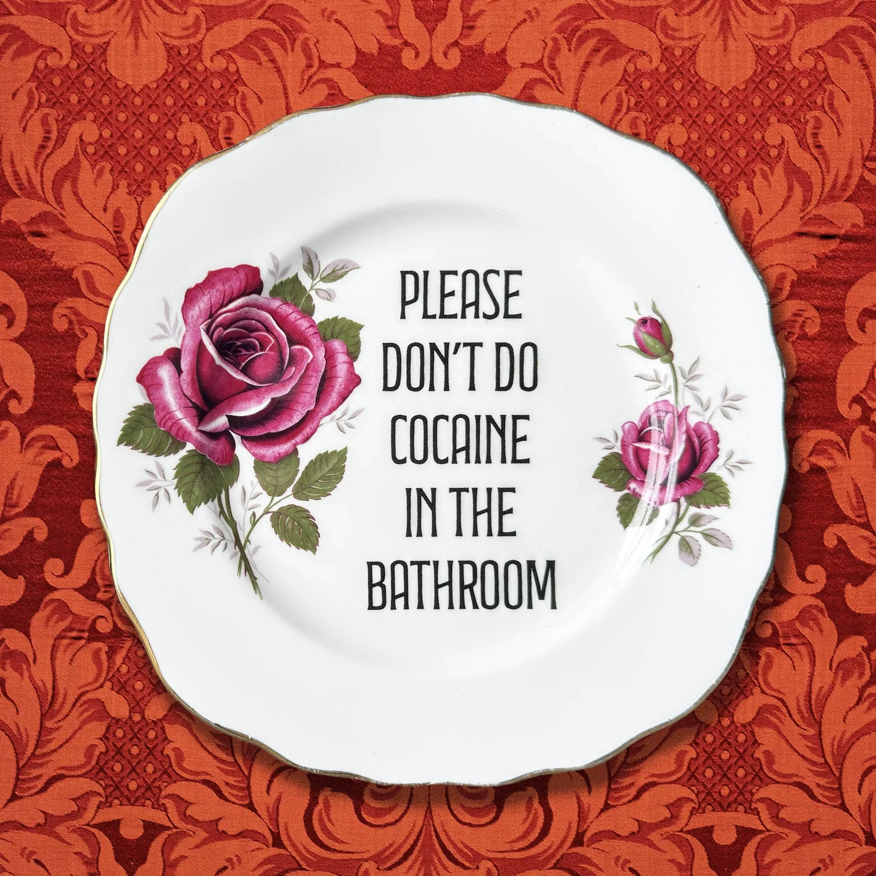 Please Don’t Do Cocaine In The Bathroom