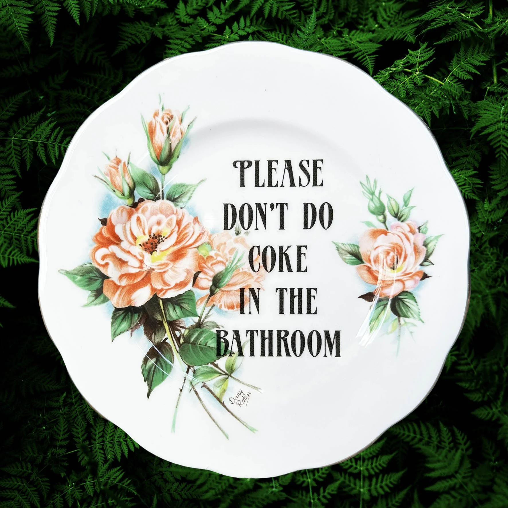 Please Don’t Do Coke In The Bathroom