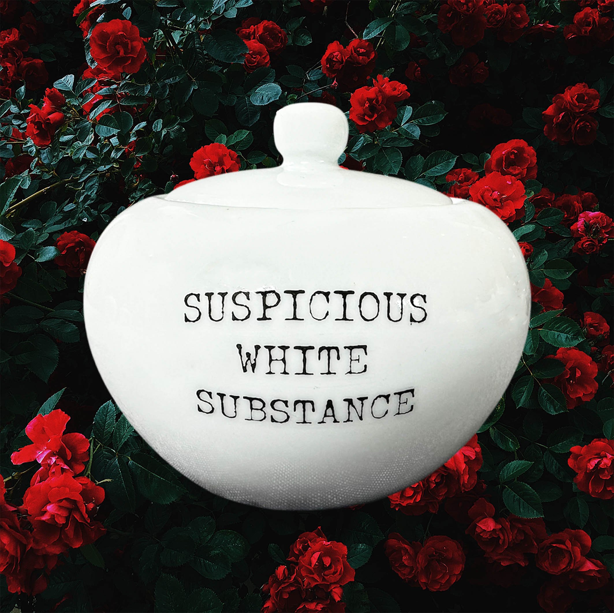 Sugar_bowl_suspicious_white_substanceDF2.jpg
