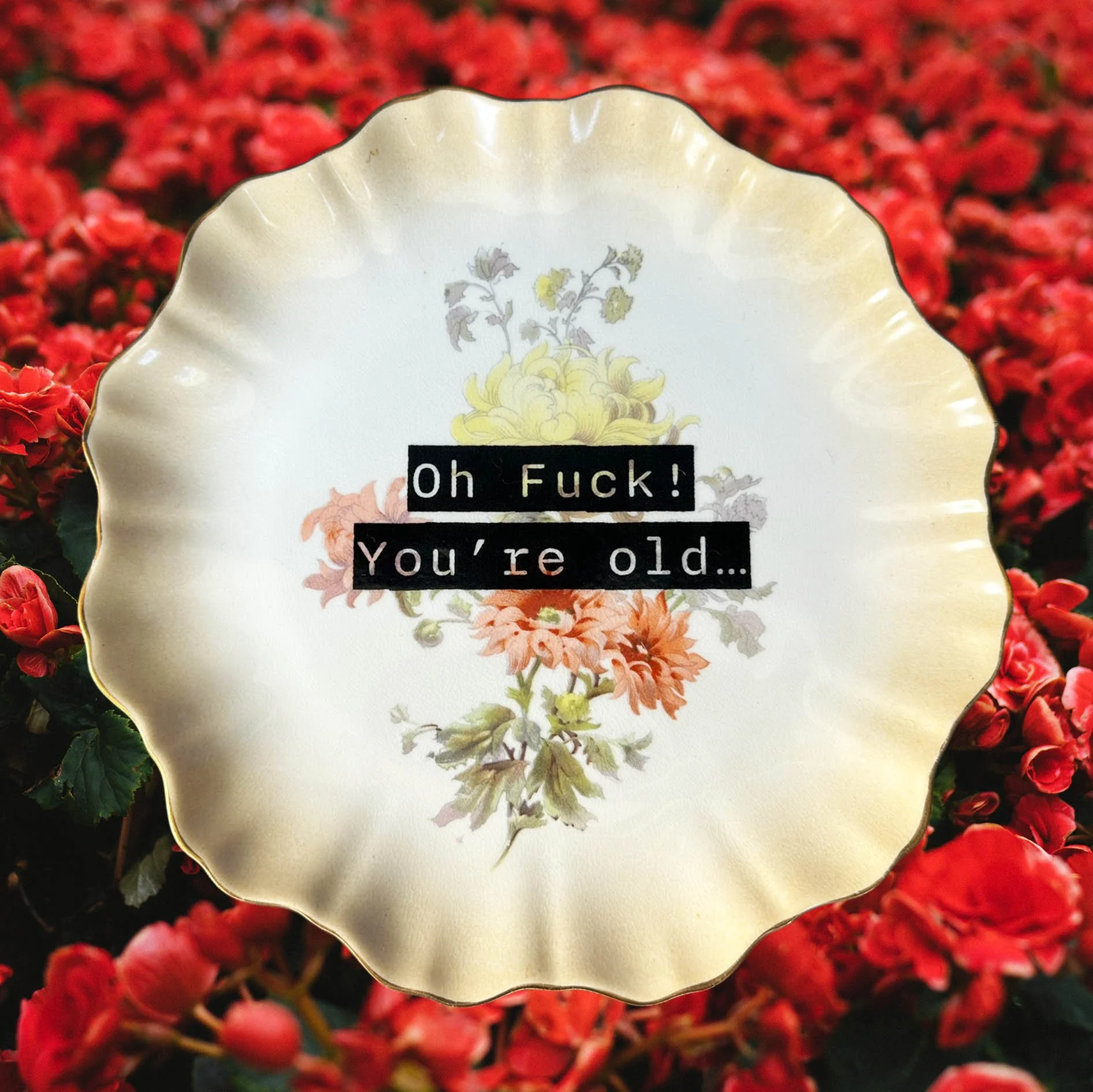 A vintage wall plate with a floral design with the words “oh fuck! You’re old”
