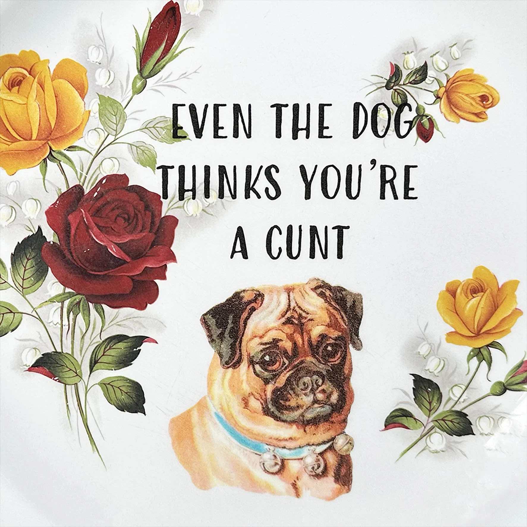 A vintage plate with a witty quote "even the dog thinks you're a cunt" and a picture of a dog
