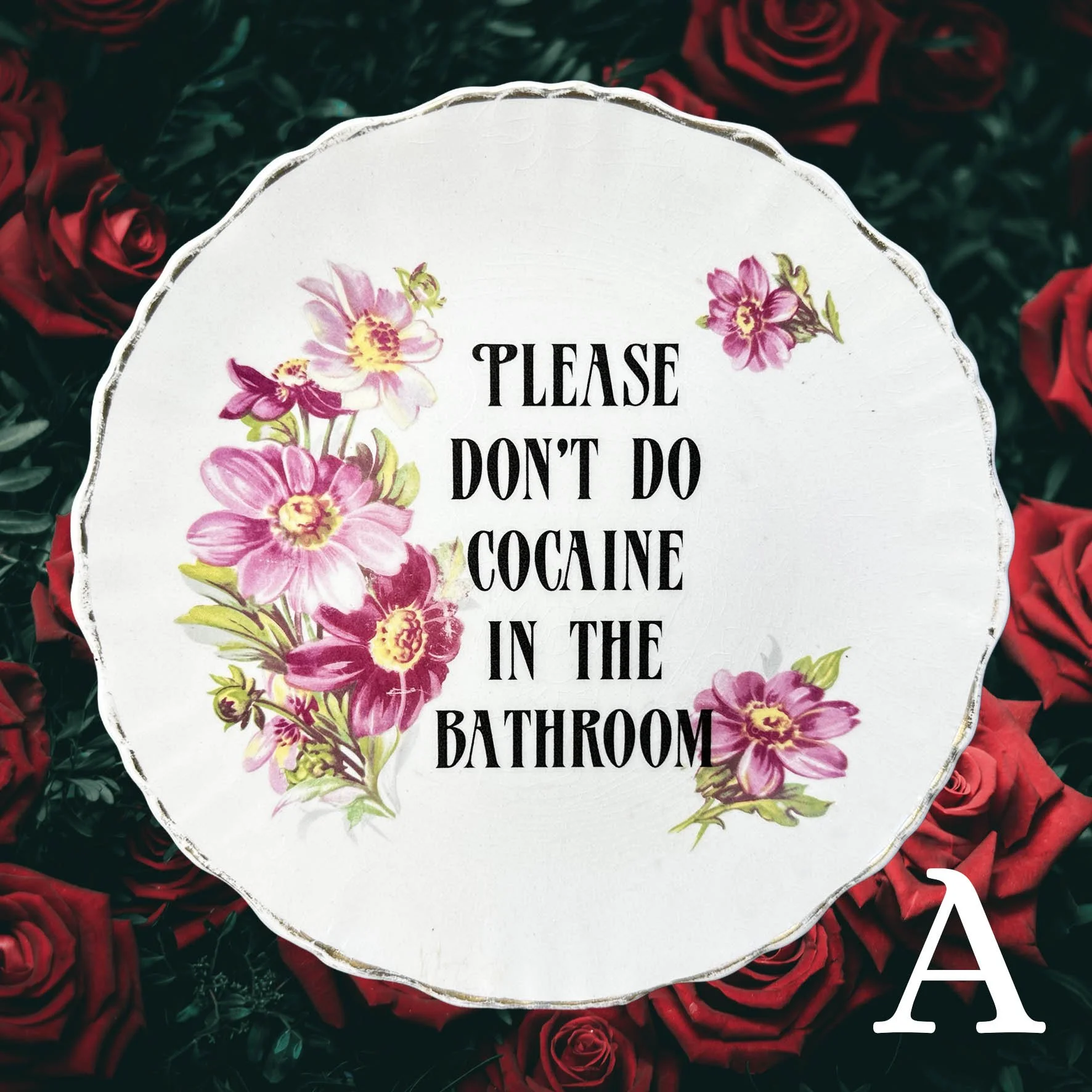 Please Don’t Do Cocaine In The Bathroom