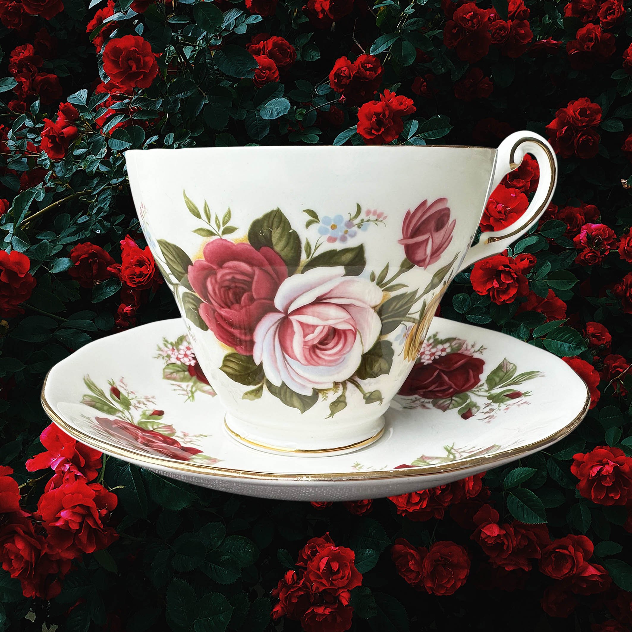 Tea_cup_classy_bitchB3.jpg