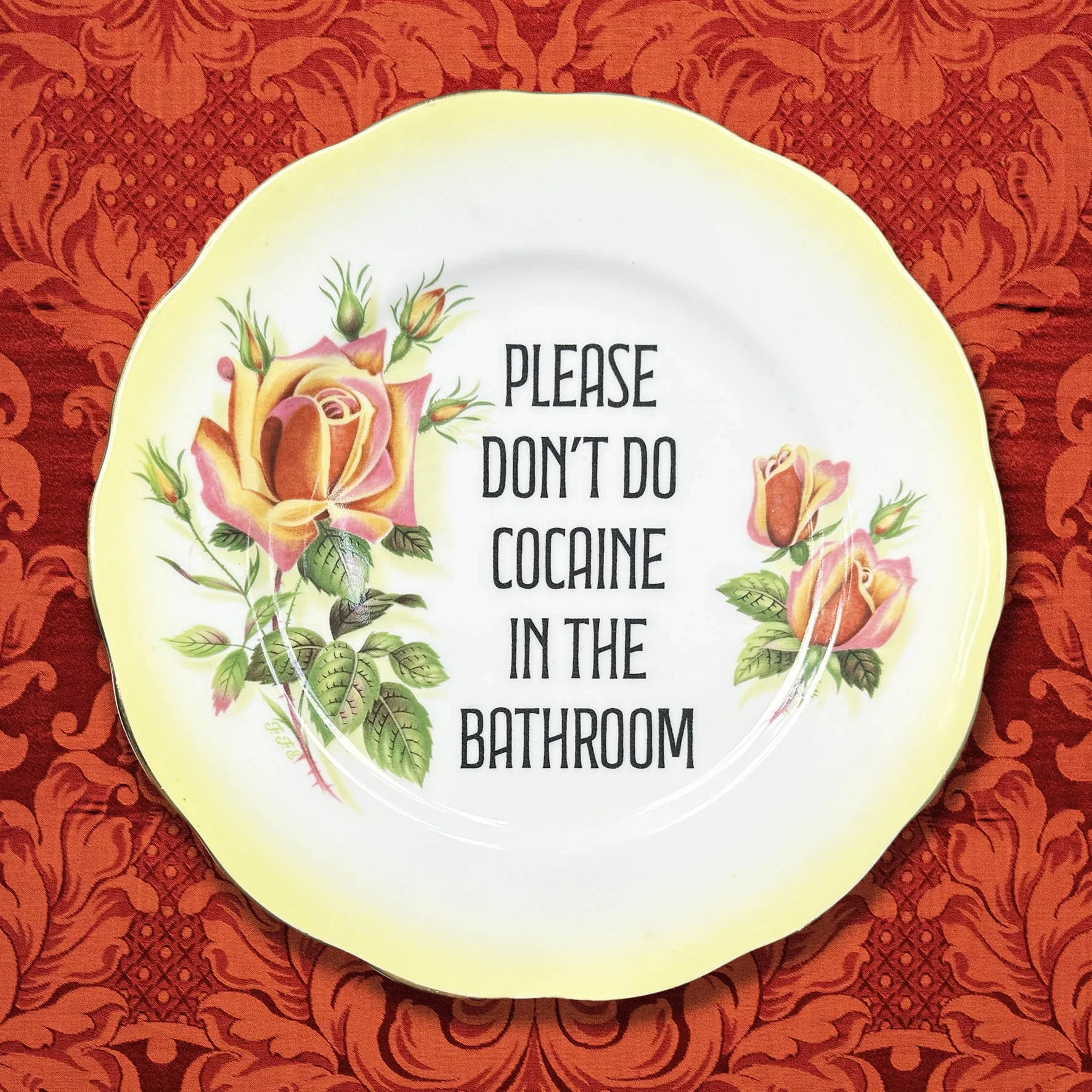 Please Don’t Do Cocaine In The Bathroom
