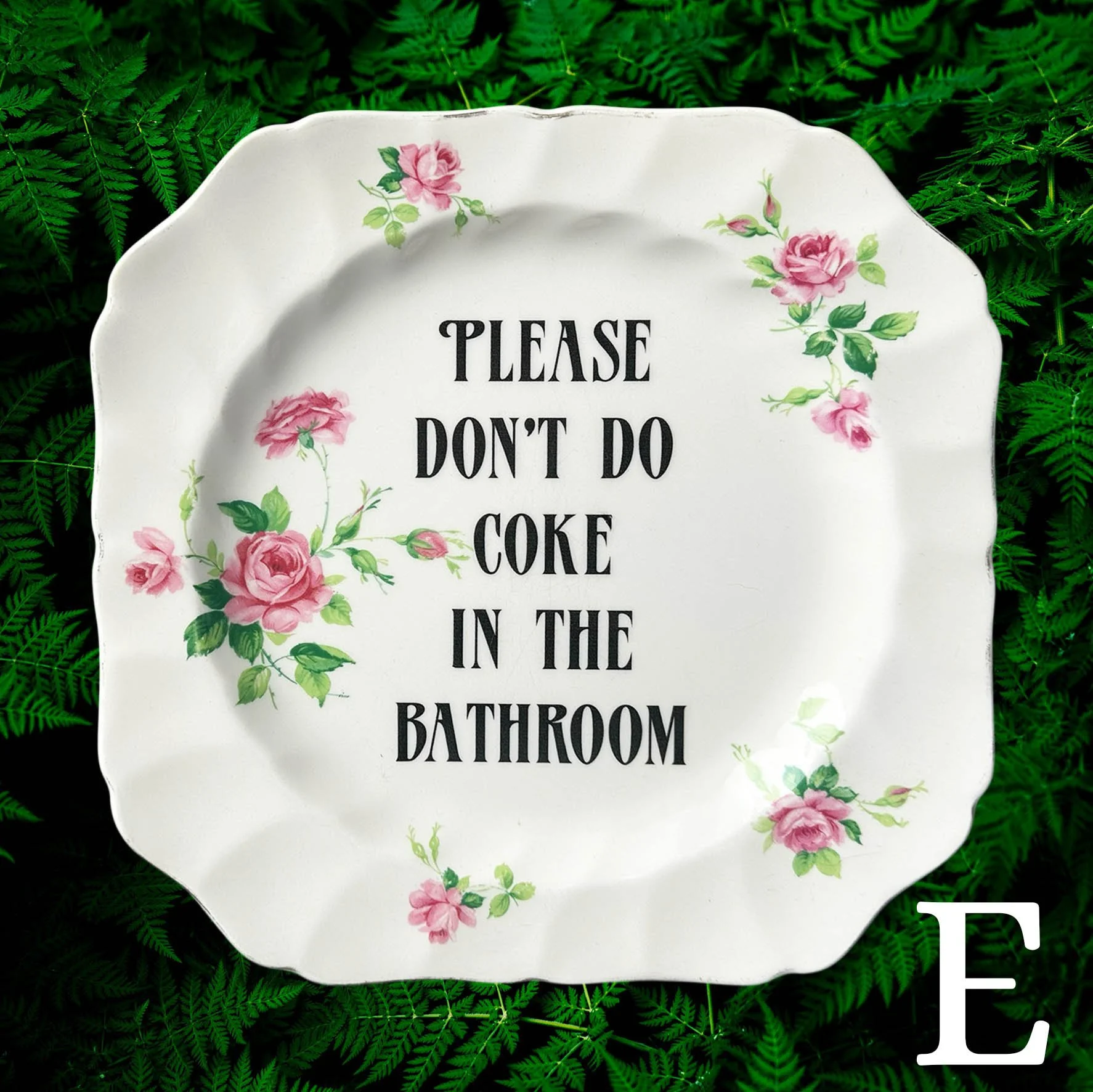 Please Don’t Do Coke In The Bathroom