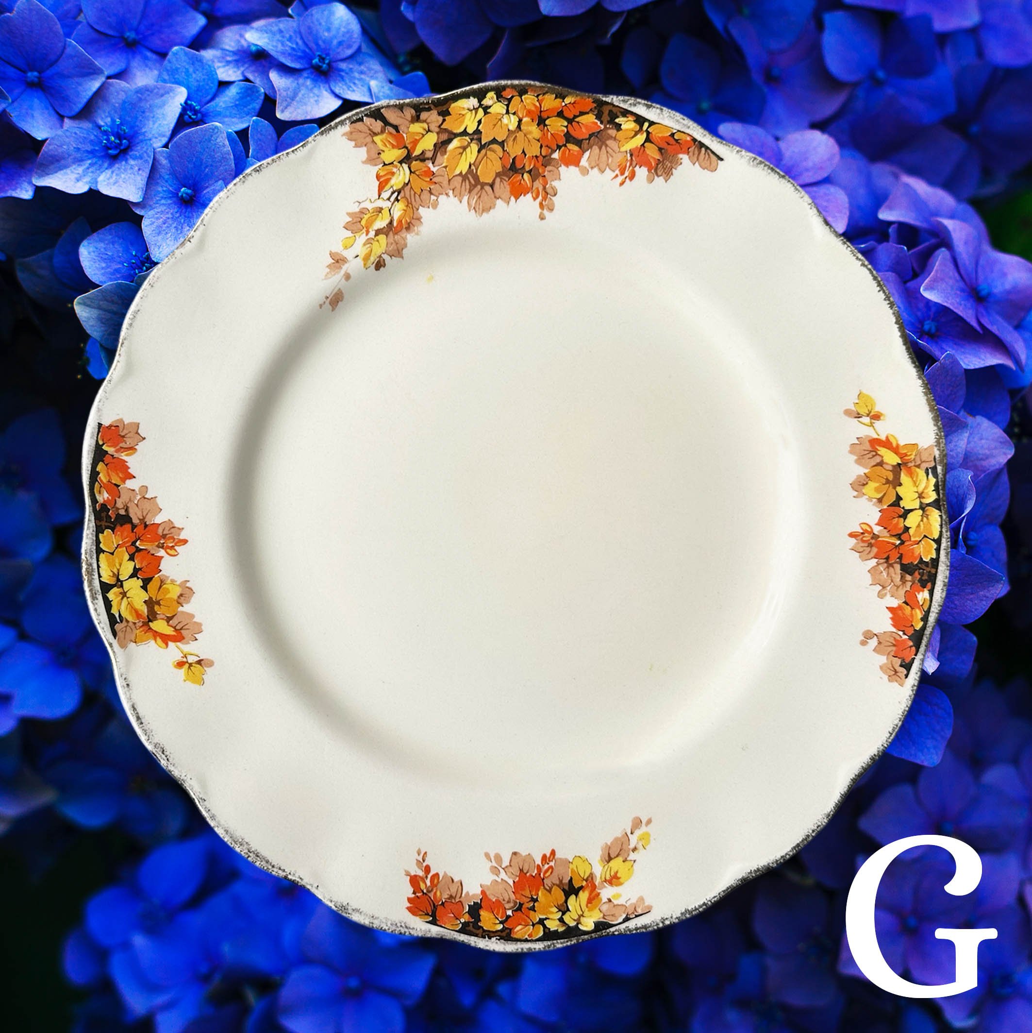 Create_a_plate_large_2025G3.jpg