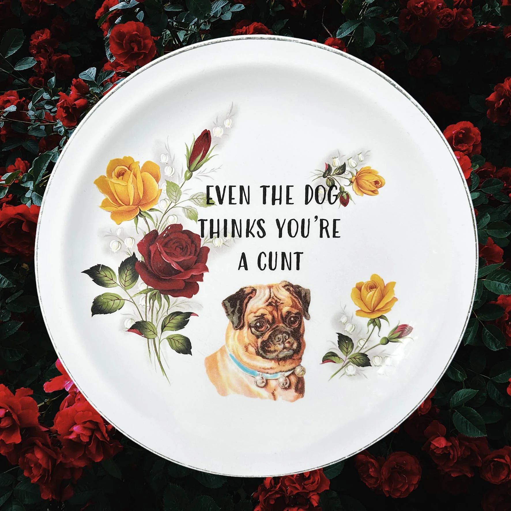 Even The Dog Thinks You’re A Cunt - Decorative Plate