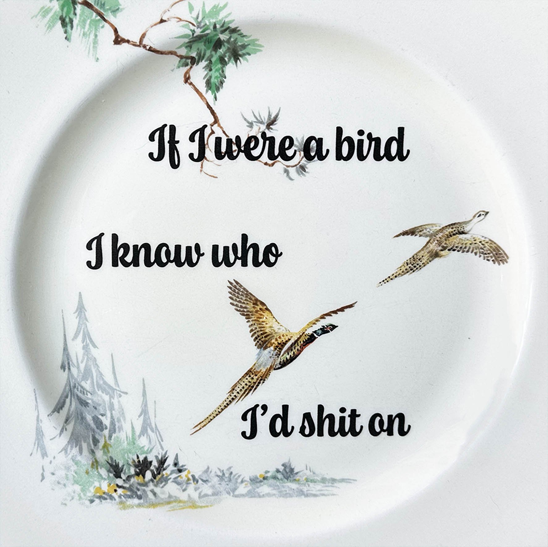 A vintage decorative plate with pictures of birds and a quote “If I were a bird I know who I’d shit on”