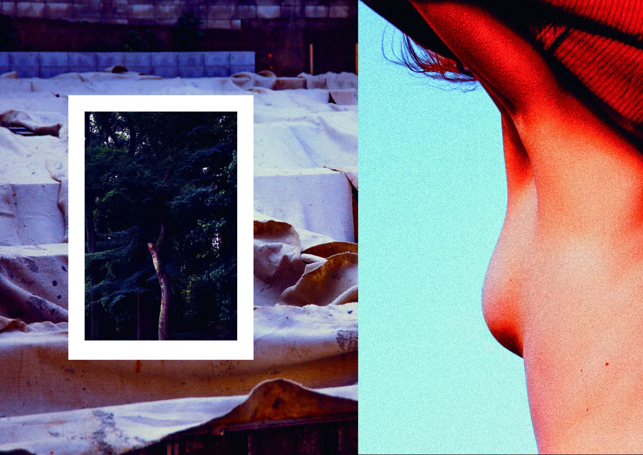 名称未設定 1.jpg