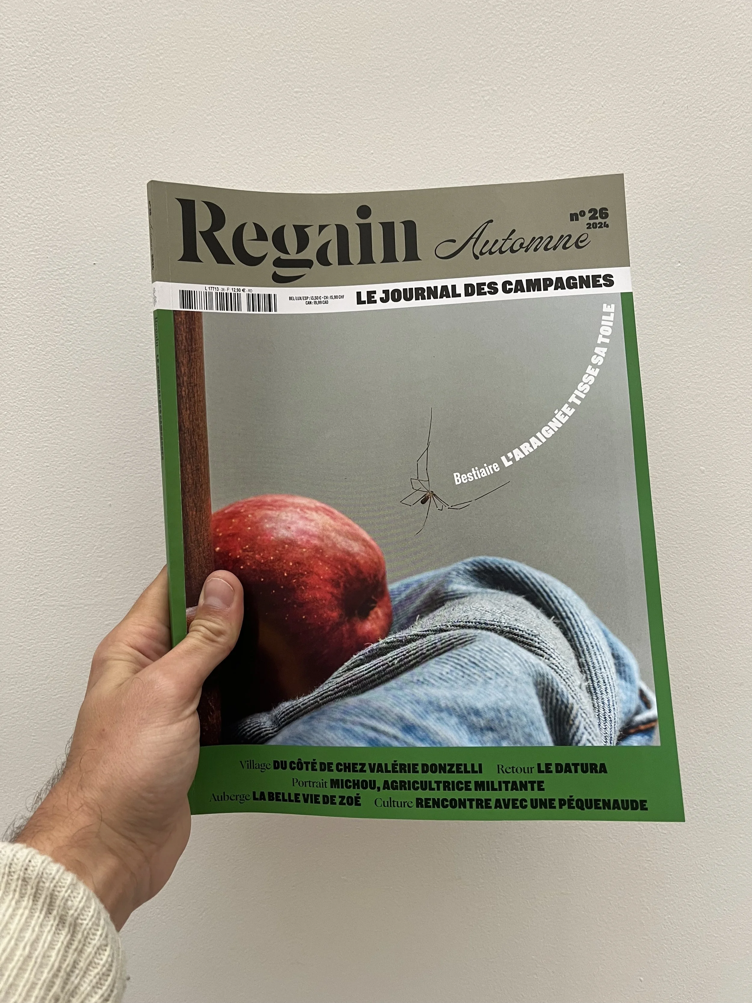   Où l’on apprend que les araignées sont plus douces qu’il n’y parait.  