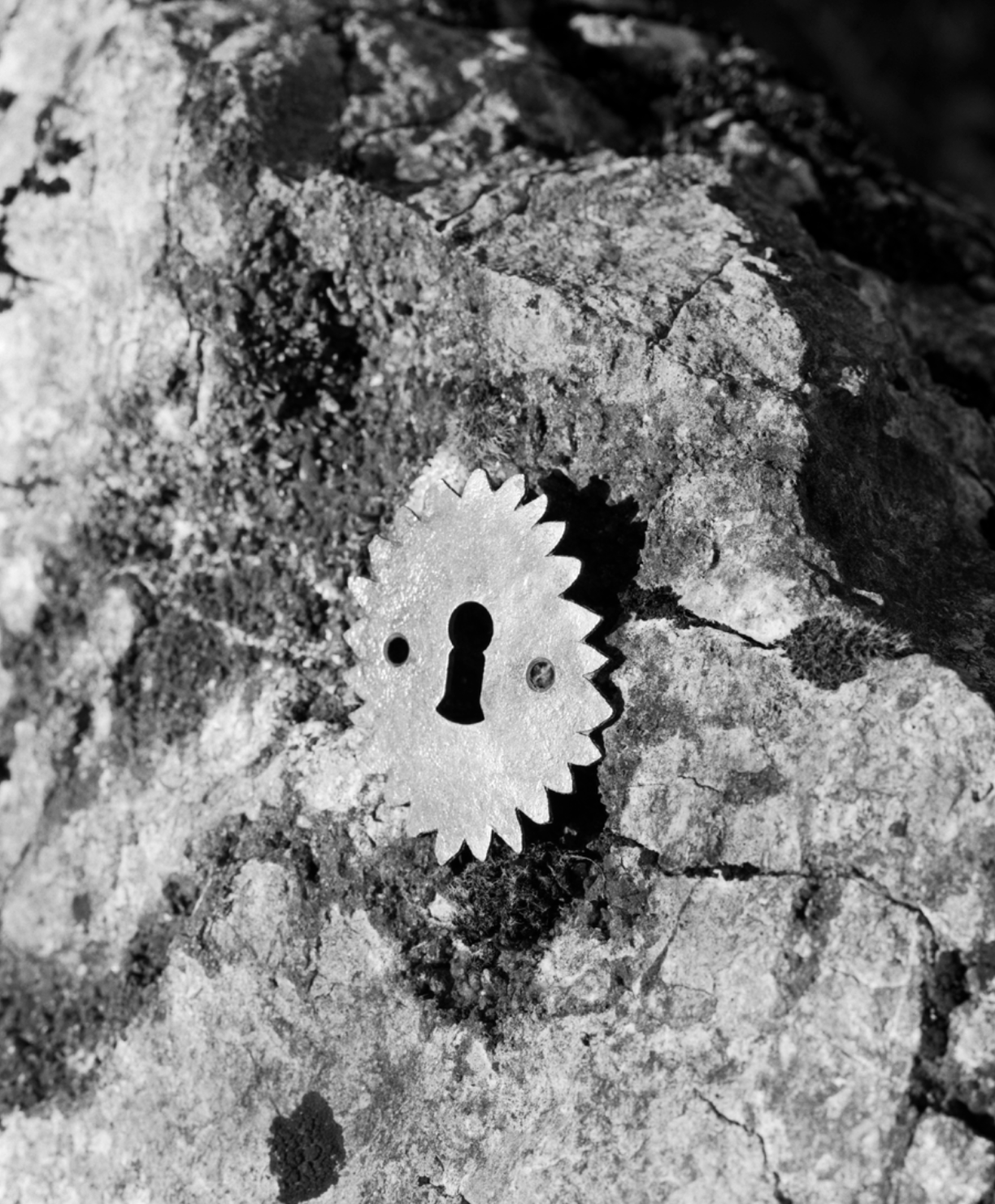 Capture d’écran 2025-12-10 à 16.15.30.png