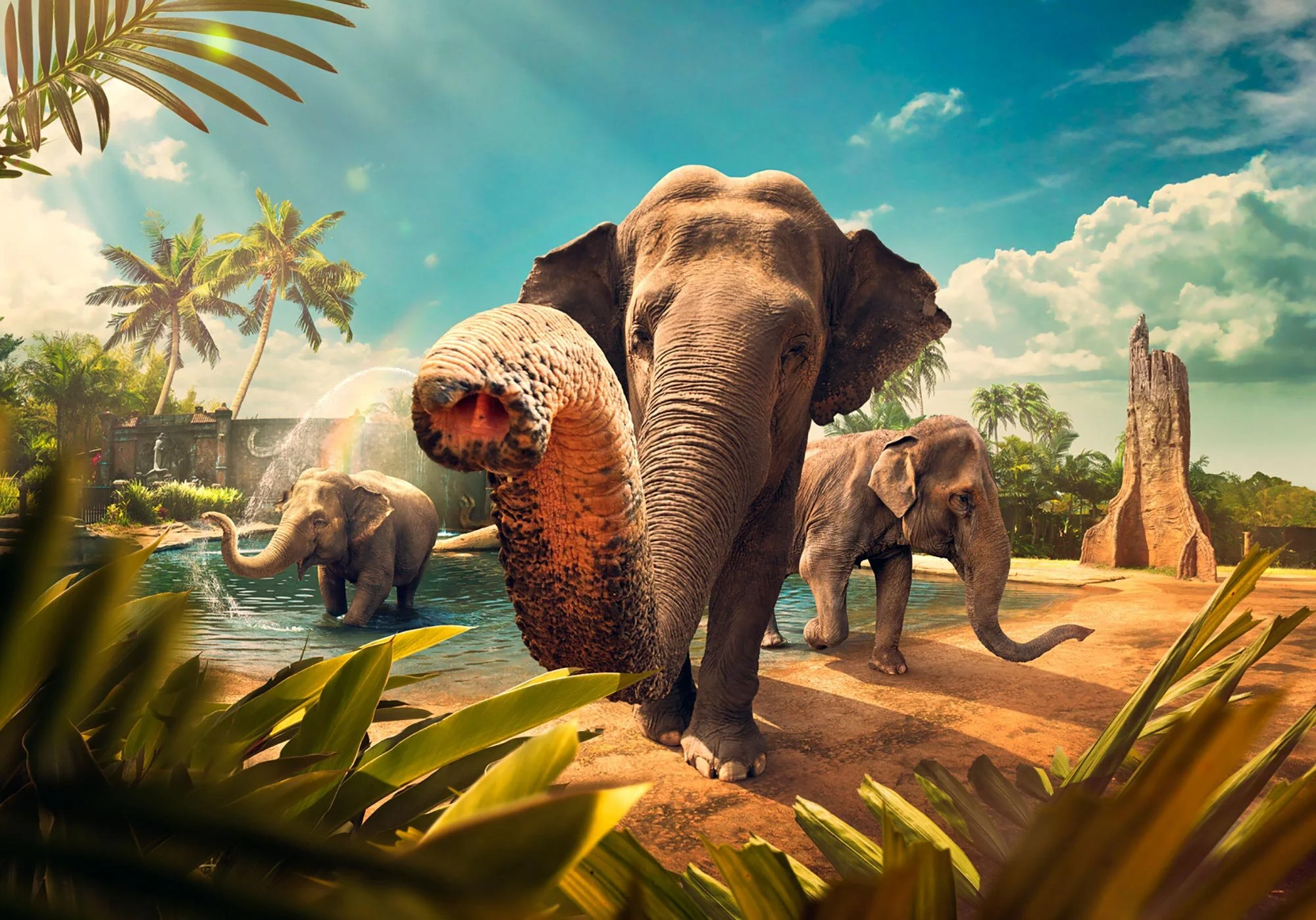 Erik Williamson Photographer | Advertising Photography | Australia Zoo | Elephants
