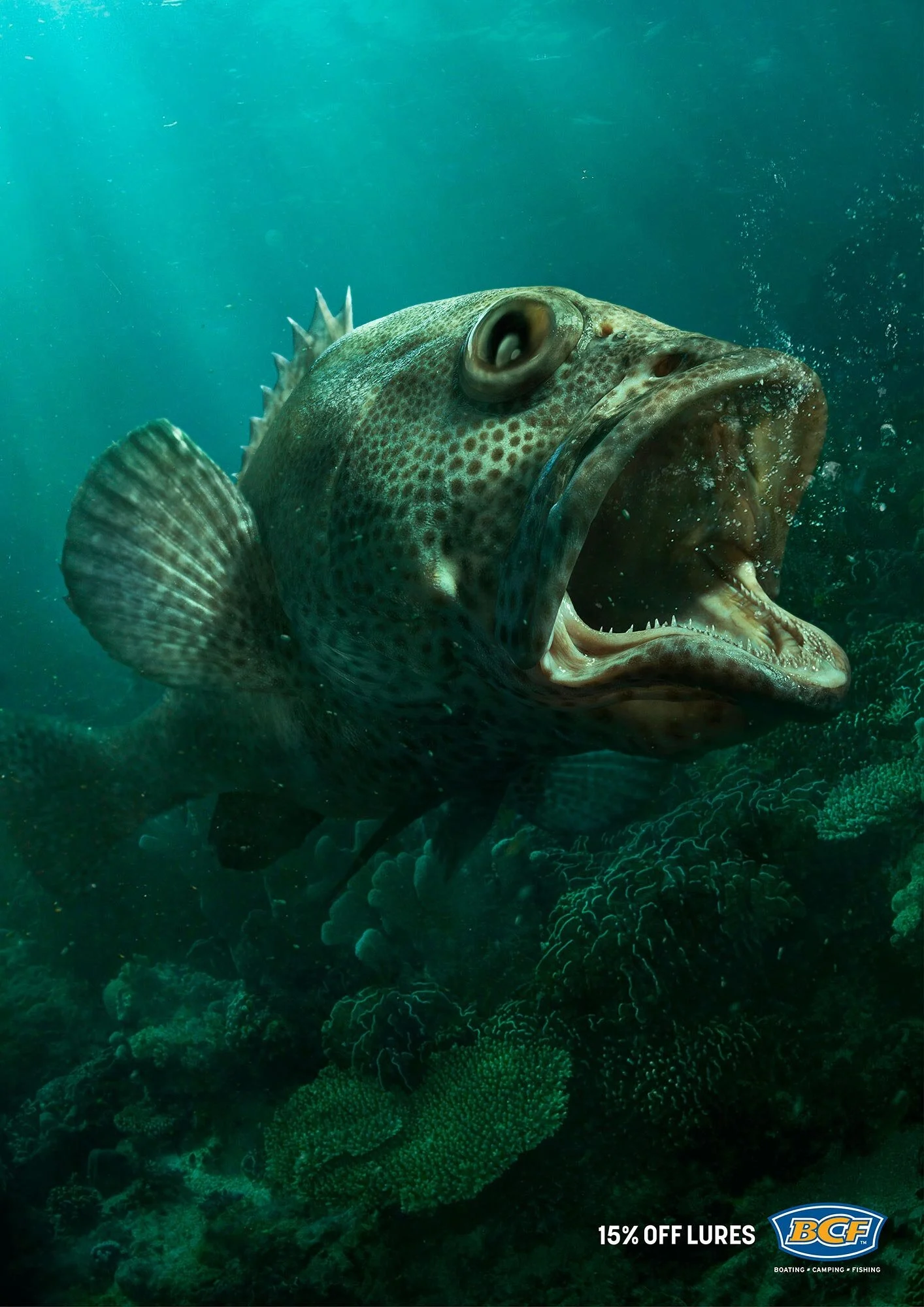 ewp-BCF-Scared-Fish_Cod.jpg