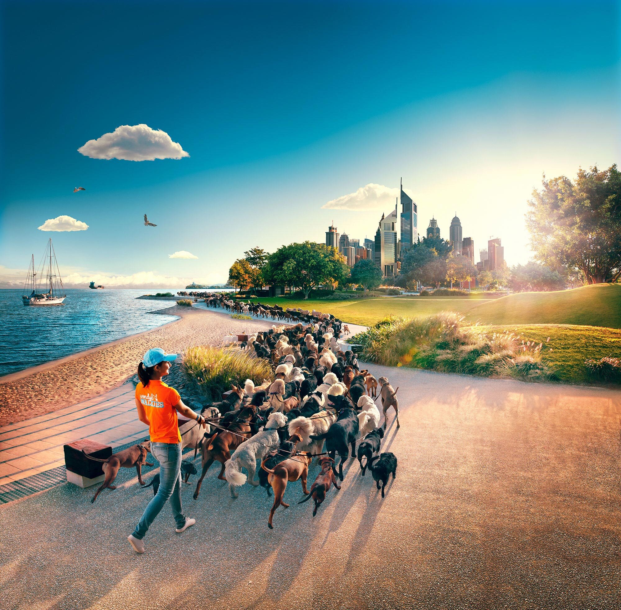 Erik Williamson Photographer | Advertising Photography | Australian Government | Business.gov