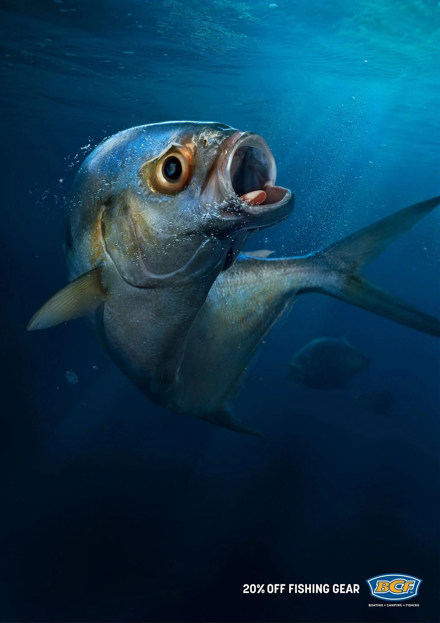 Erik Williamson Photographer | Advertising Photography | BCF | Scared Fish | Dart