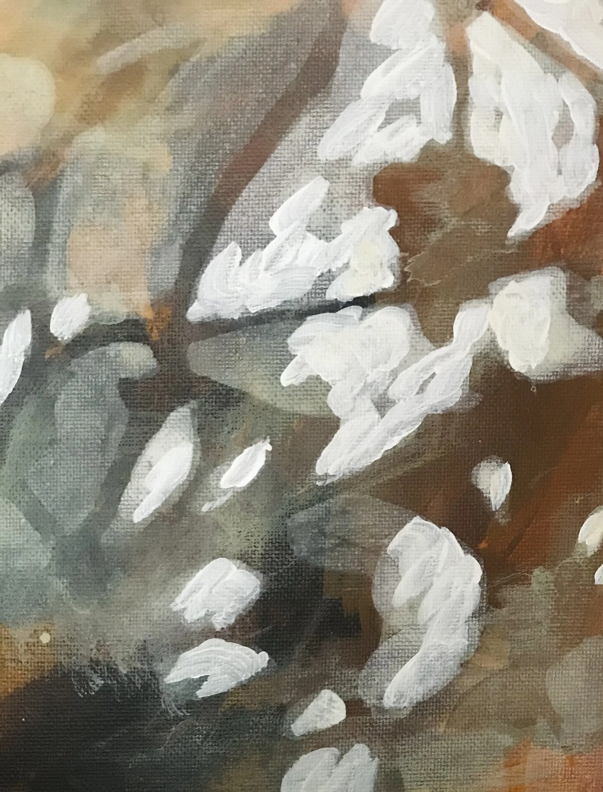 Light Studies3.jpeg
