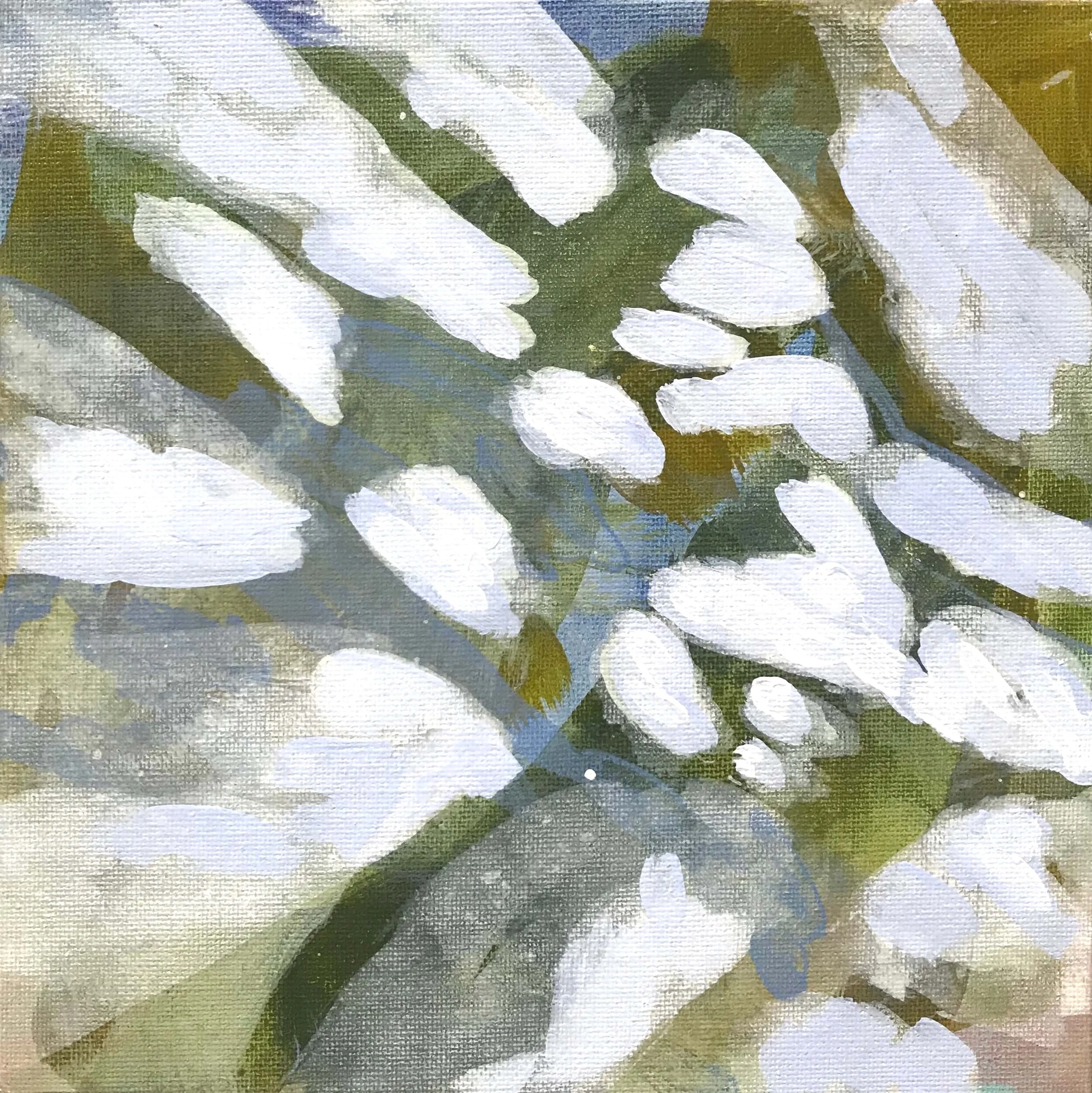 Light+Study+Light+Blue_tiny2.jpg