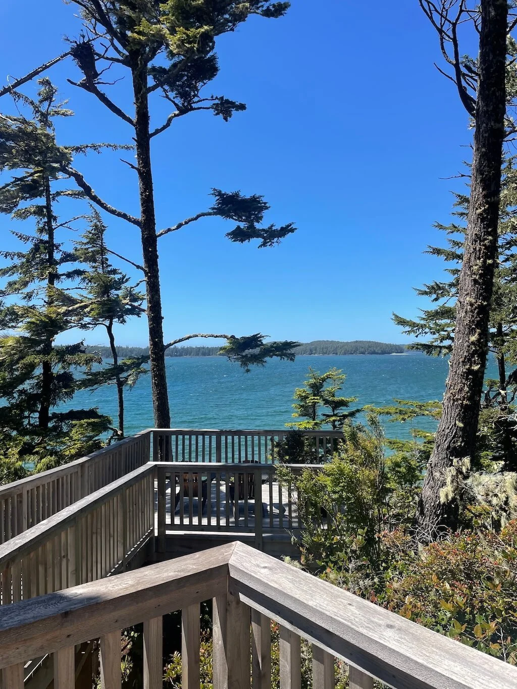 Taming the Wild and Creating Gardens