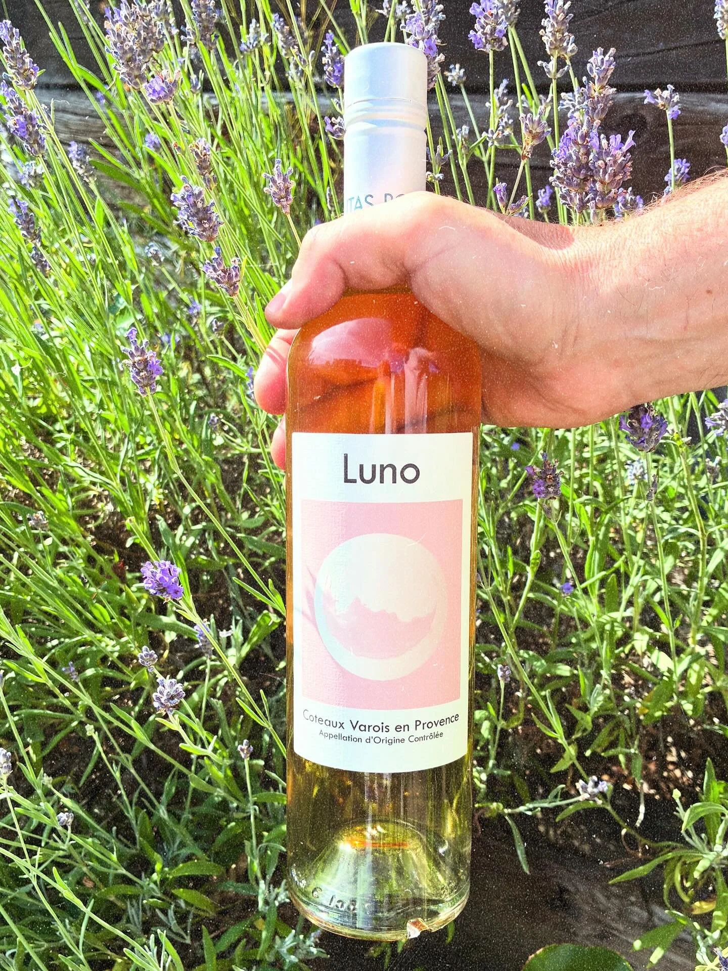 ☀️NEW☀️ gorgeous ros&eacute;

It&rsquo;s scorchio!! time to transport yourselves to the lavender fields of Provence&hellip;yes!

Aromas of watermelon, rose petal &amp; citrus&hellip;yum 

#ros&egrave; #wine #winewinewine #ros&eacute; #ros&eacute;seas