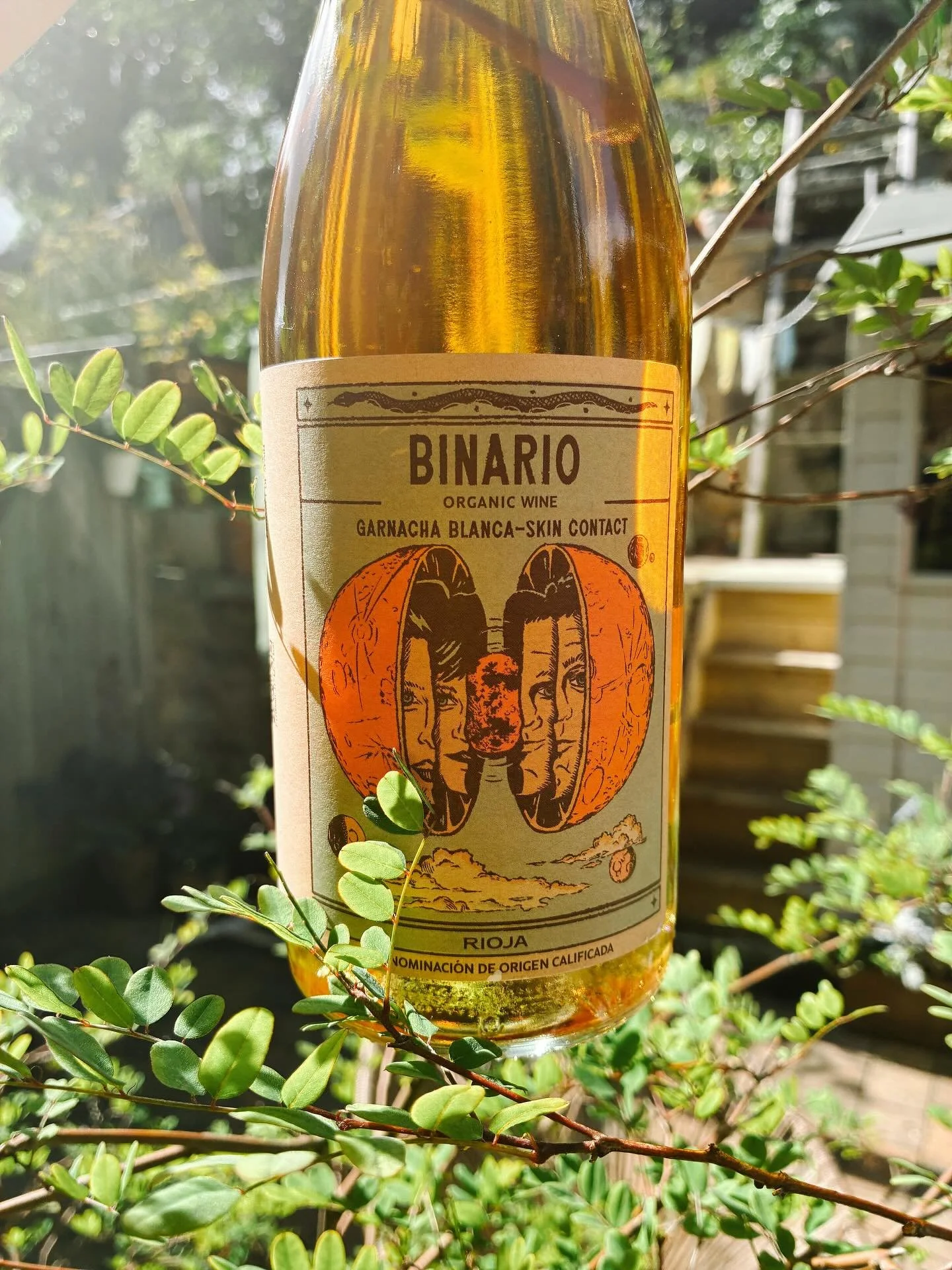 One of our absolute favourite finds&hellip;.

Natural orange wine from Rioja, female made 💪&hellip;marmalade &amp; peaches&hellip;perfect summer alfresco wine&hellip;oof

#orangewine #orangewines #naturelwine #rioja #biodynamic #biodynamicwine #fema
