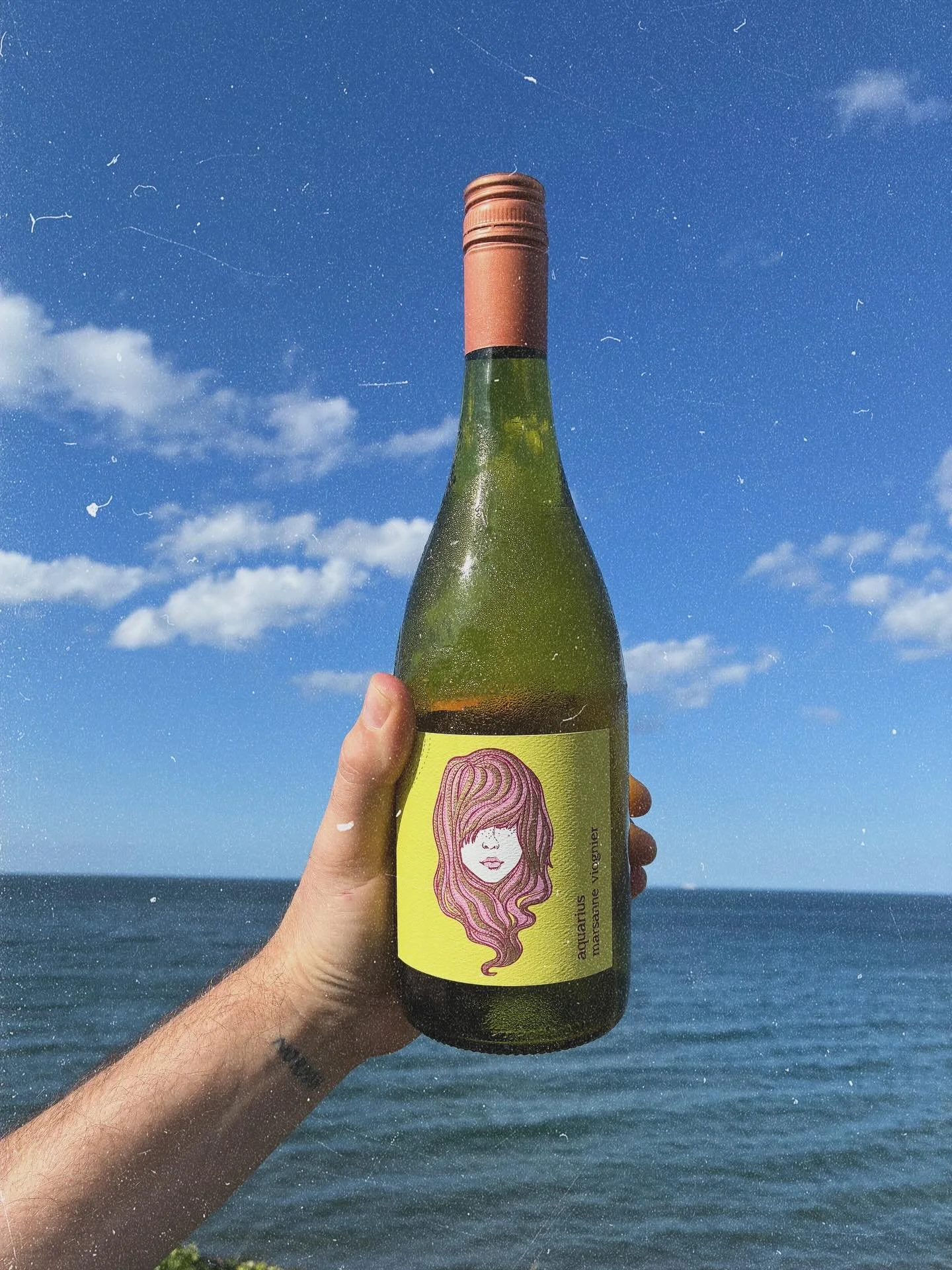 Absolute summer in a bottle ☀️☀️

It&rsquo;s an absolute beauty!

#wine #winewinewine #whitewine #whitewinelover #summer #seaside #picnic #picnicwine