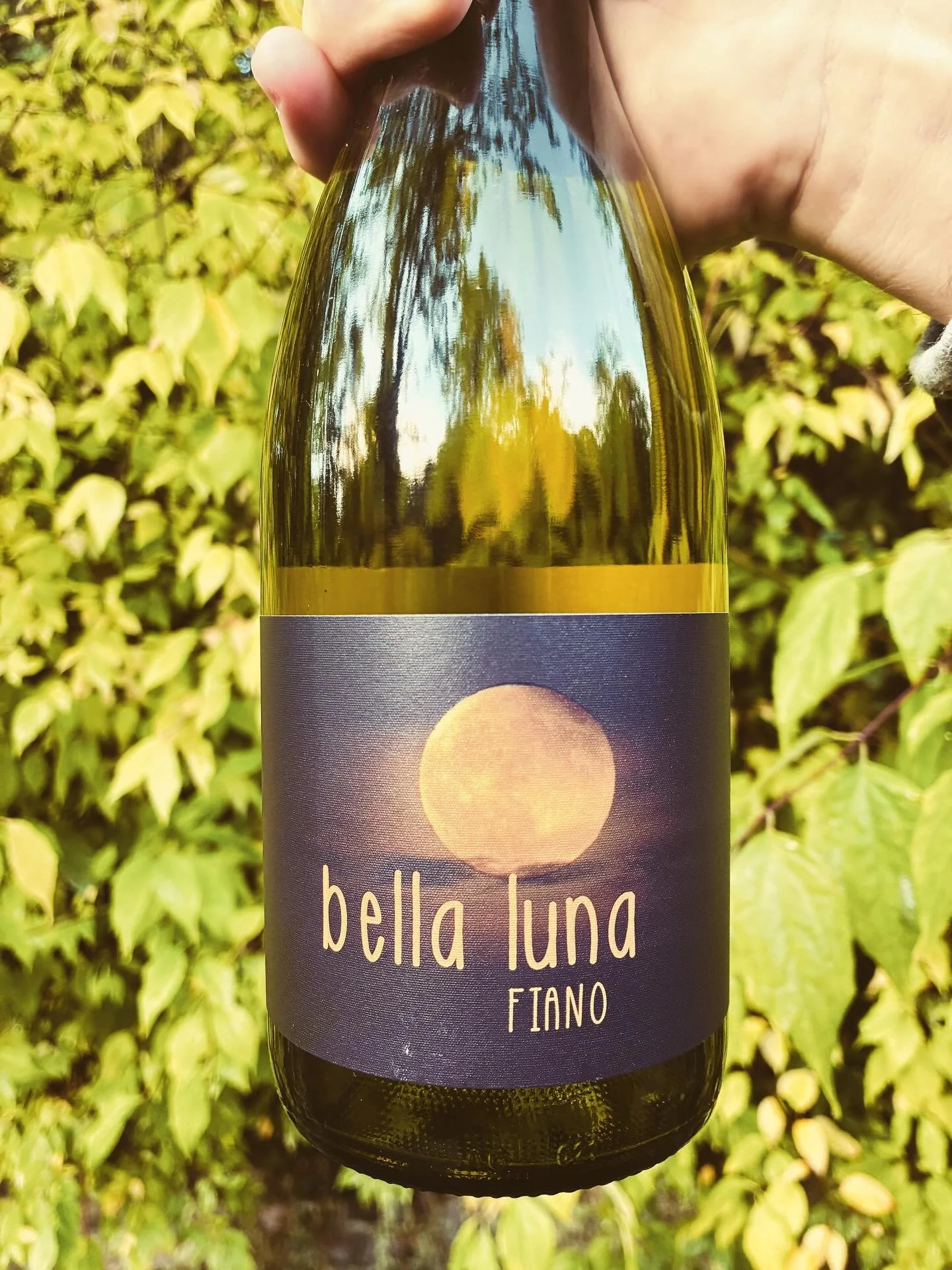 Transitioning into Autumn 🍂🍂🍁&hellip;with a rich, ripe &amp; juicy white&hellip;perfect with autumnal roasts&hellip;

#wine #winetime #fiano #whitewine #whitewines #whitewinelover #beautifulmoon #australianwine #winesofaustralia #wineandfood #wine