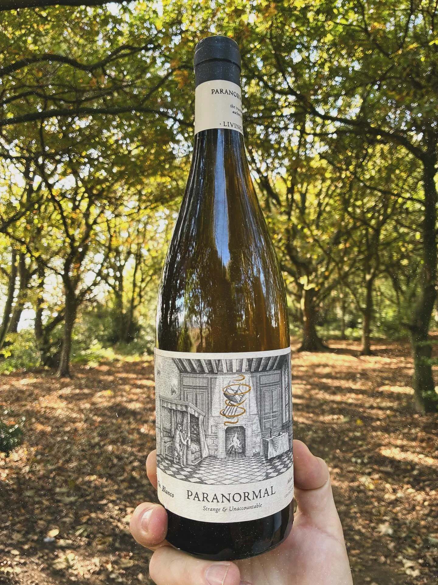 Ready for spooky season with our Spanish &lsquo;bone&rsquo; dry white&hellip;woooooh 👻

#wine #spanishwine #whitewine #winewinewine #winelover #wineimporter #palaminofino #jerez #winewednesdays #wineoftheday #wineofinstagram