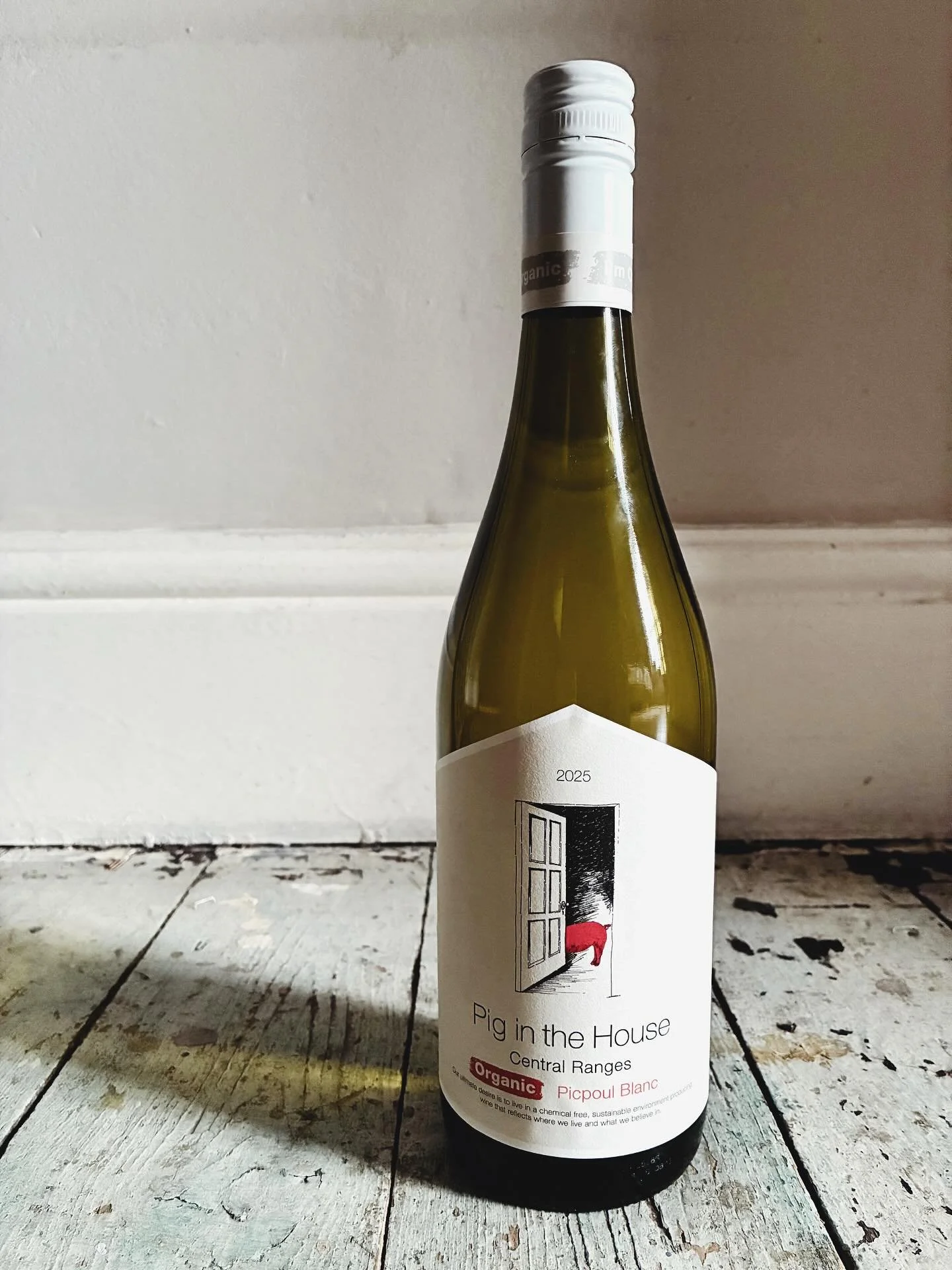 ⭐️NEW⭐️

Australian Picpoul - Pig in the house 🐽

Sooo good&hellip;mildly aromatic with pear and ripe lime..super friendly with food ..yum 

#picpoul #australianpicpoul #australianwine #winesofaustralia #organic #organicwine #organicwines #winelabel