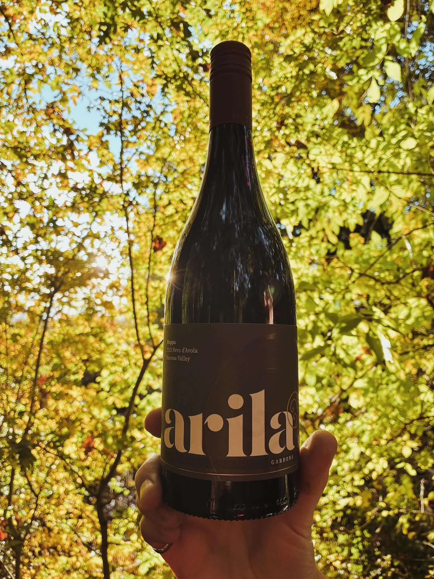 Vibrant Ruby red for a grey day .

Intense perfume of raspberry coulis, black pastille, juniper, red cherry &amp; a palate of bright berry fruit..🍇 happy autumn 🍂

#redwine #nerodavola #rubyred #oakaged #barossavalley #australianwine #winetime #win