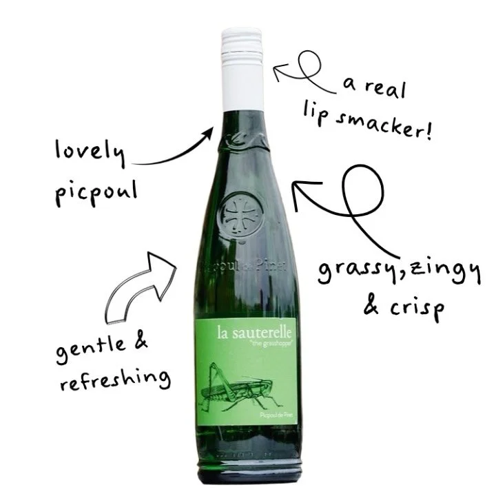 Definitely Picpoul time! ☀️☀️ &amp; it&rsquo;s a beauty.

so refreshing with an elegant nose, lifted notes of citrus (grapefruit, lime zest) and stone fruit (peach, apricot)..oof. 

Dust off that bbq.

#picpoul #frenchwine #whitewine #winewinewine #w