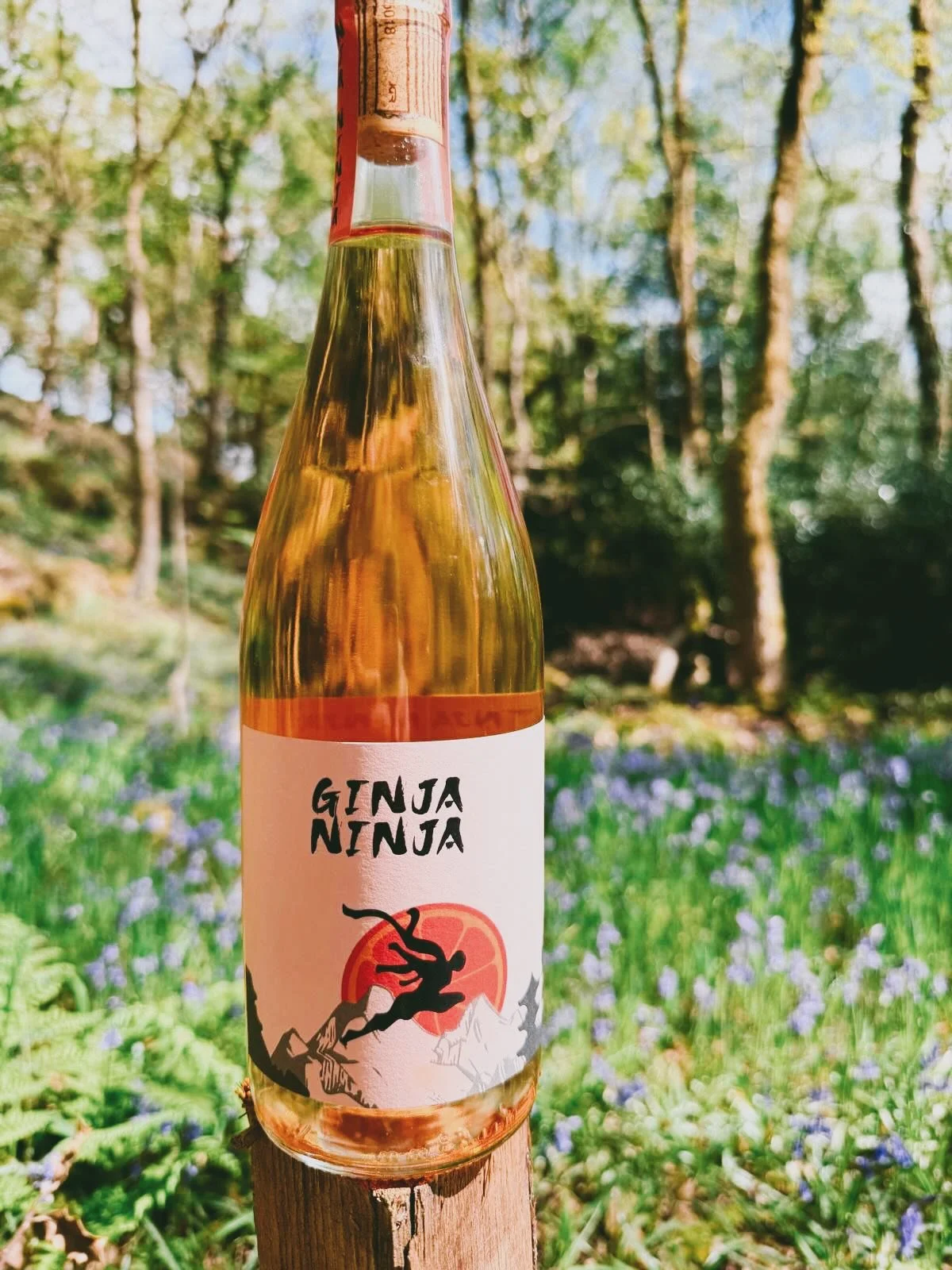 the lesser spotted Ginja Ninja&hellip;what a beauty!

delicious orange wine made from organic Verdejo grapes 

Clean, bright, with amber yellow colour and salmon shades. Fresh fruit aromas and citric notes, pink grapefruit

#orangewine #organicwine #