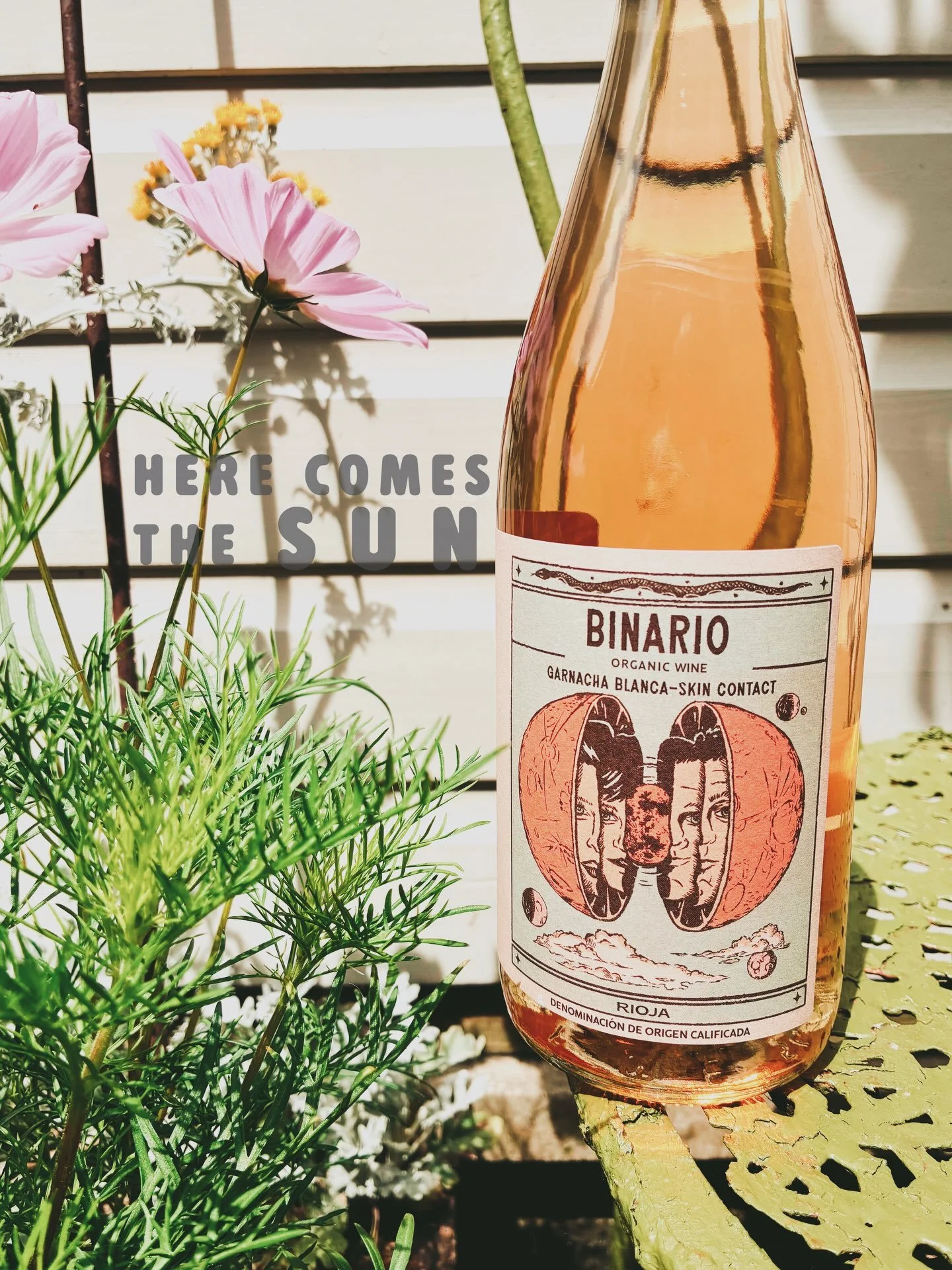 100% Organic and Biodynamic Orange Garnacha Blanco from Rioja.

The first orange wine to be presented (and initially rejected!) for a DO accreditation. Now it is still one of the very few orange wines from Rioja.

Hand-picked at night to retain fresh