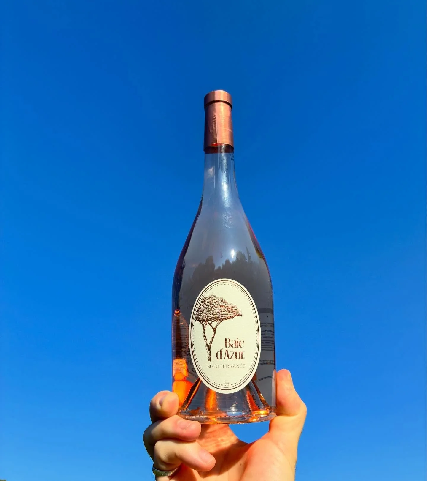 No filter required ☀️ + doggo outtake 

A fresh &amp; fruity ros&eacute; capturing the light summery flavours of the Mediterranean region.

Grapes are harvested when the temperature is at its lowest, and with the ripest selected as the wine is made o